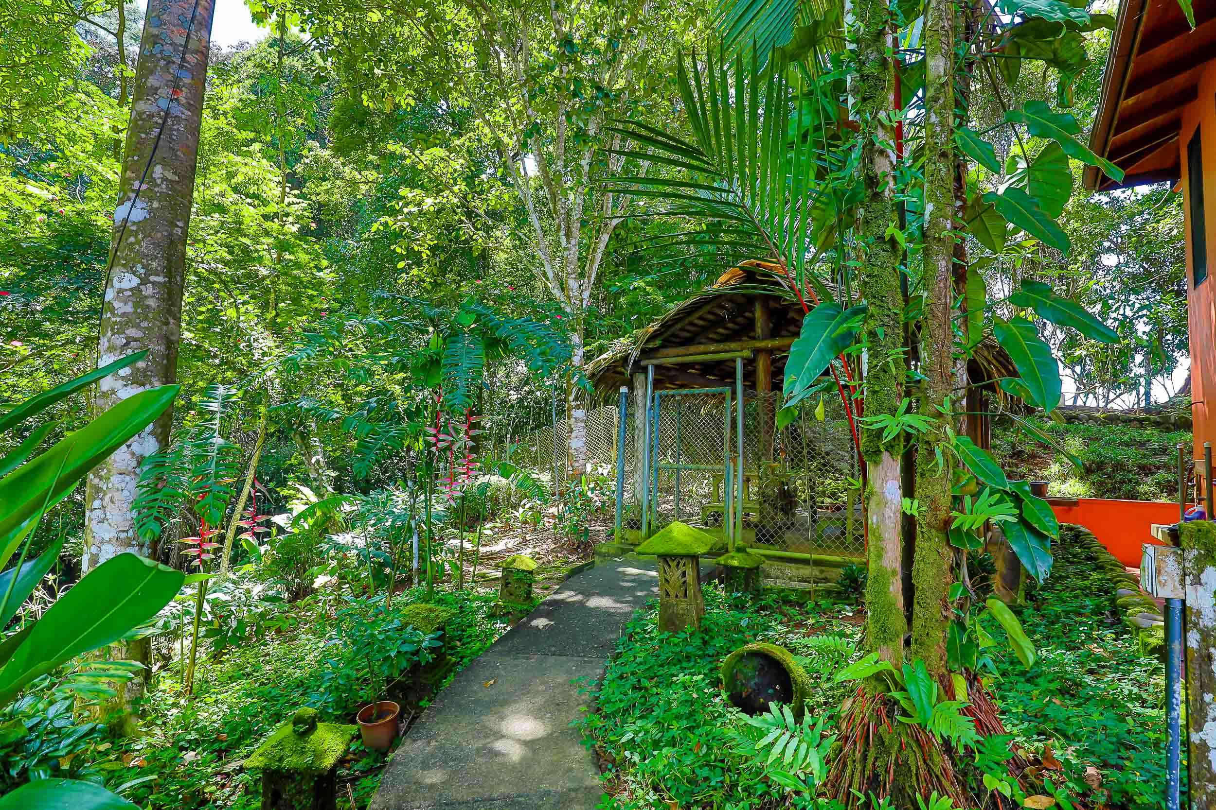1 bed Single Family Homes For Sale in Savegre, Puntarenas - thumb 23