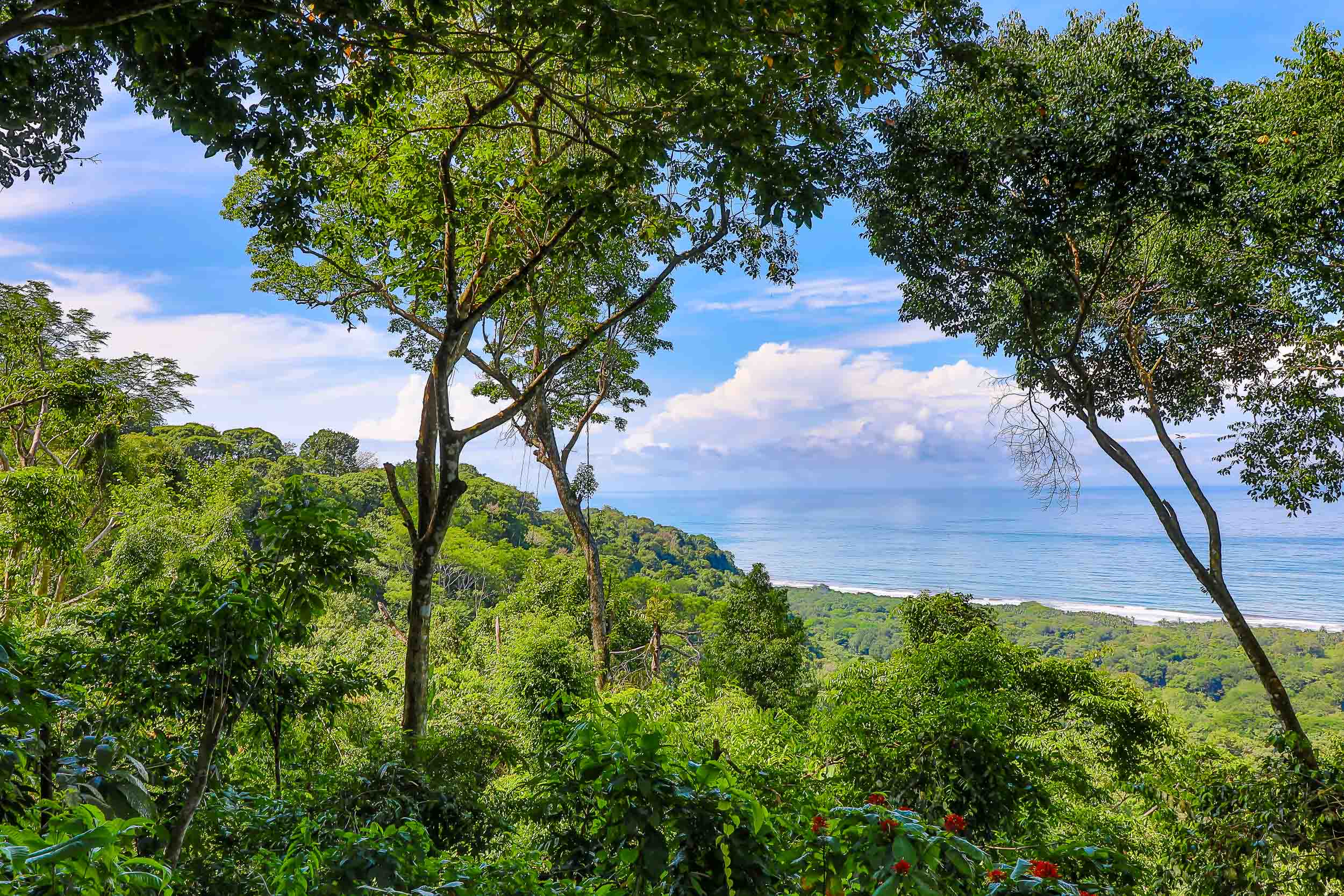 1 bed Single Family Homes For Sale in Savegre, Puntarenas - thumb 27