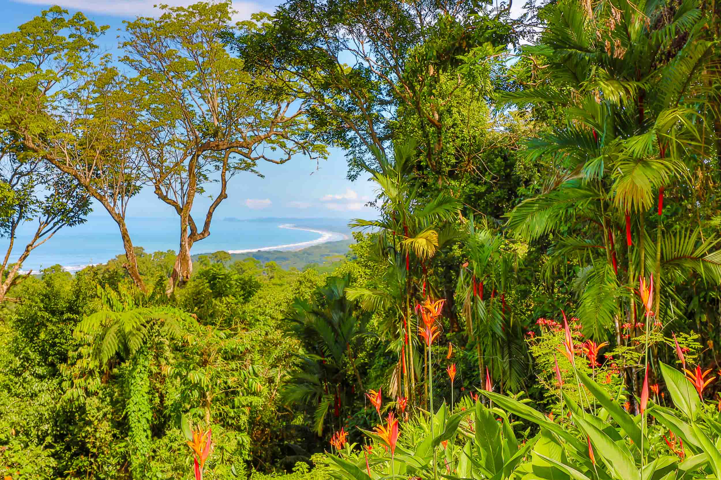 1 bed Single Family Homes For Sale in Savegre, Puntarenas - thumb 25