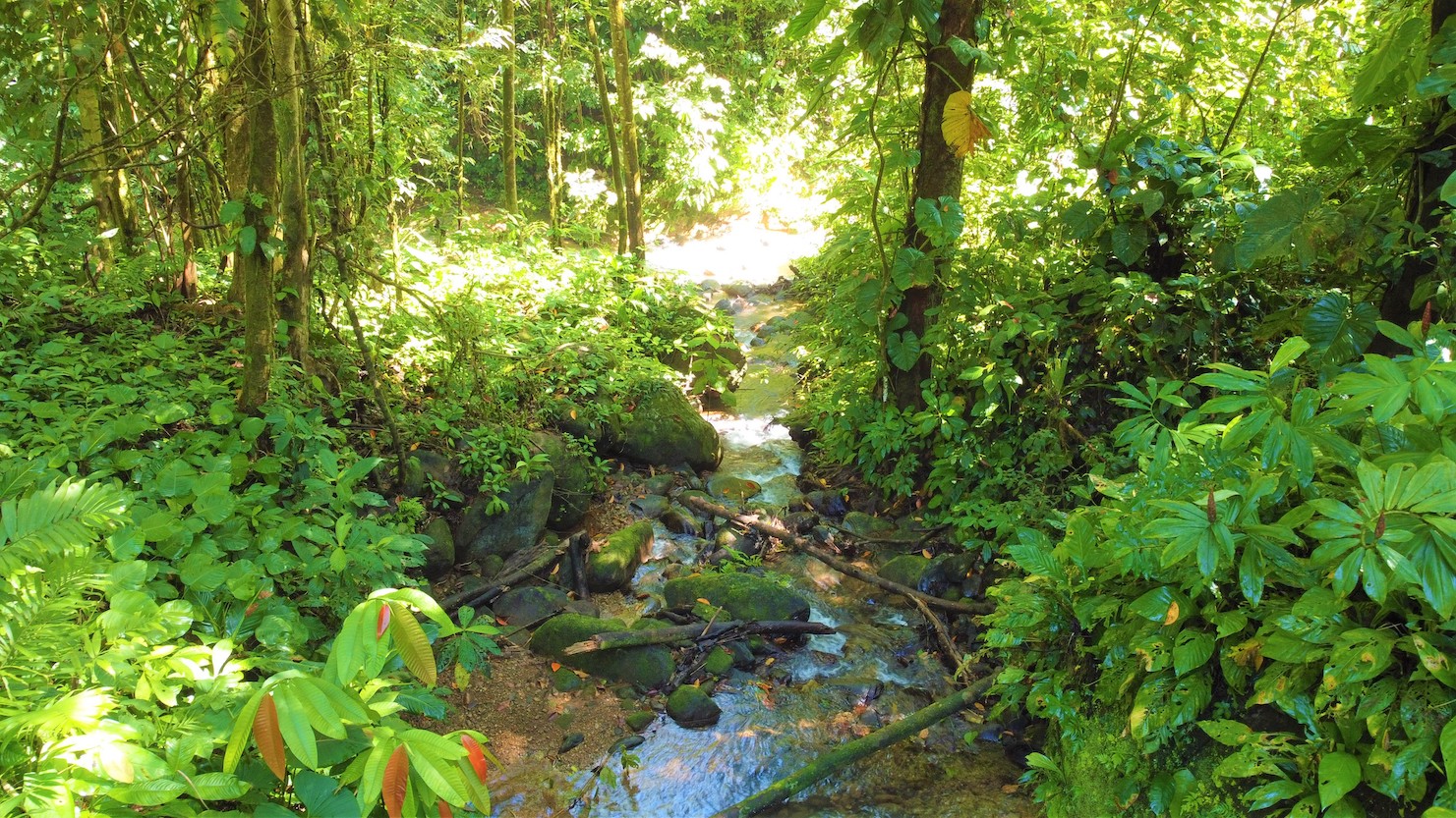 0 bed Land For Sale in Savegre, Puntarenas - thumb 19