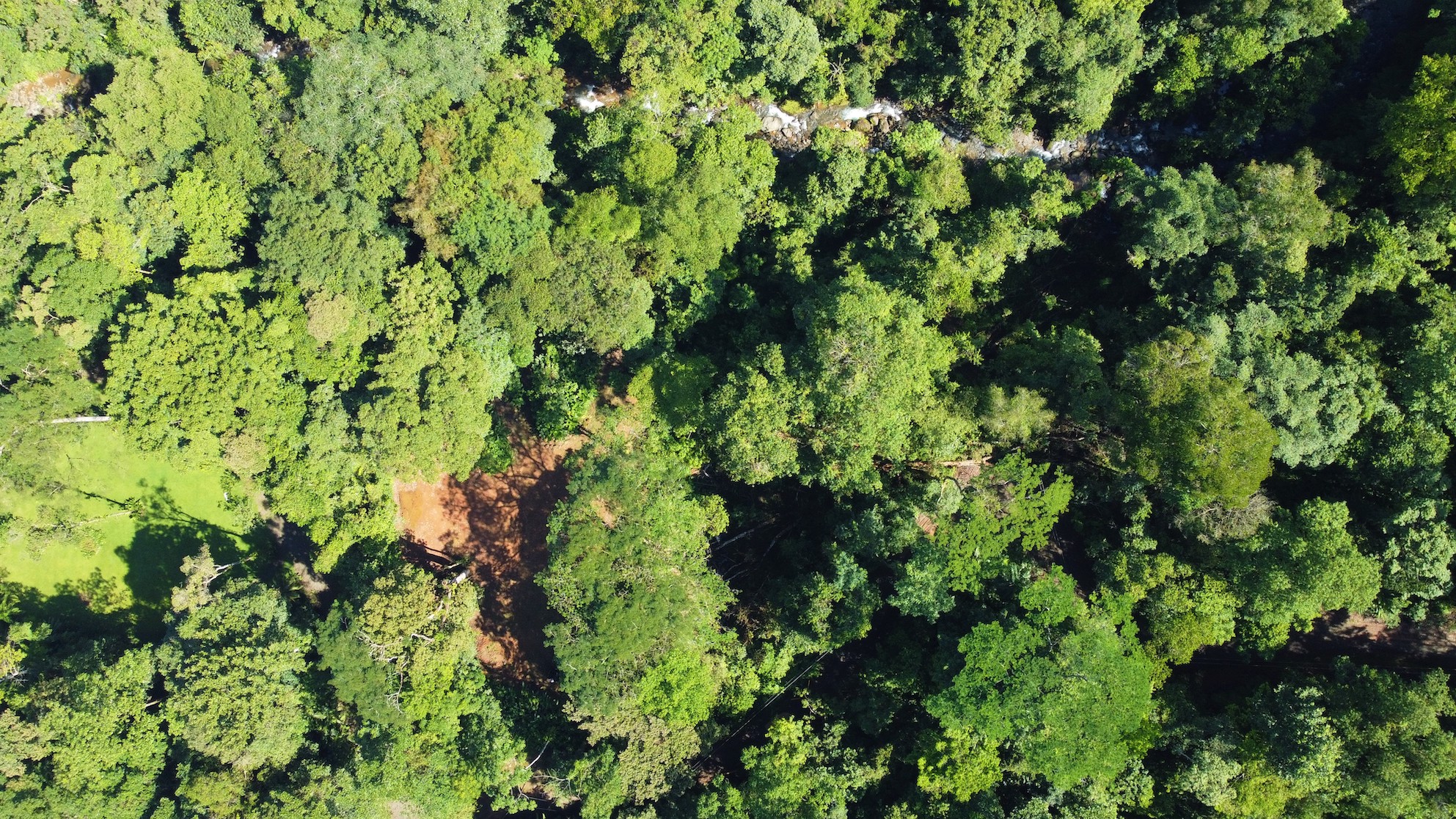 0 bed Land For Sale in Savegre, Puntarenas - thumb 17
