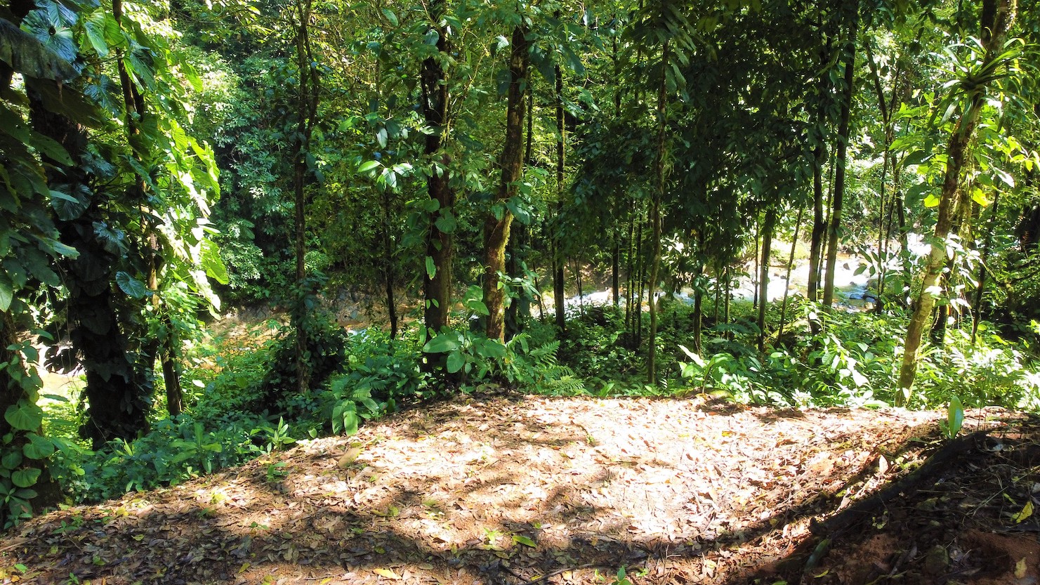 0 bed Land For Sale in Savegre, Puntarenas - thumb 18