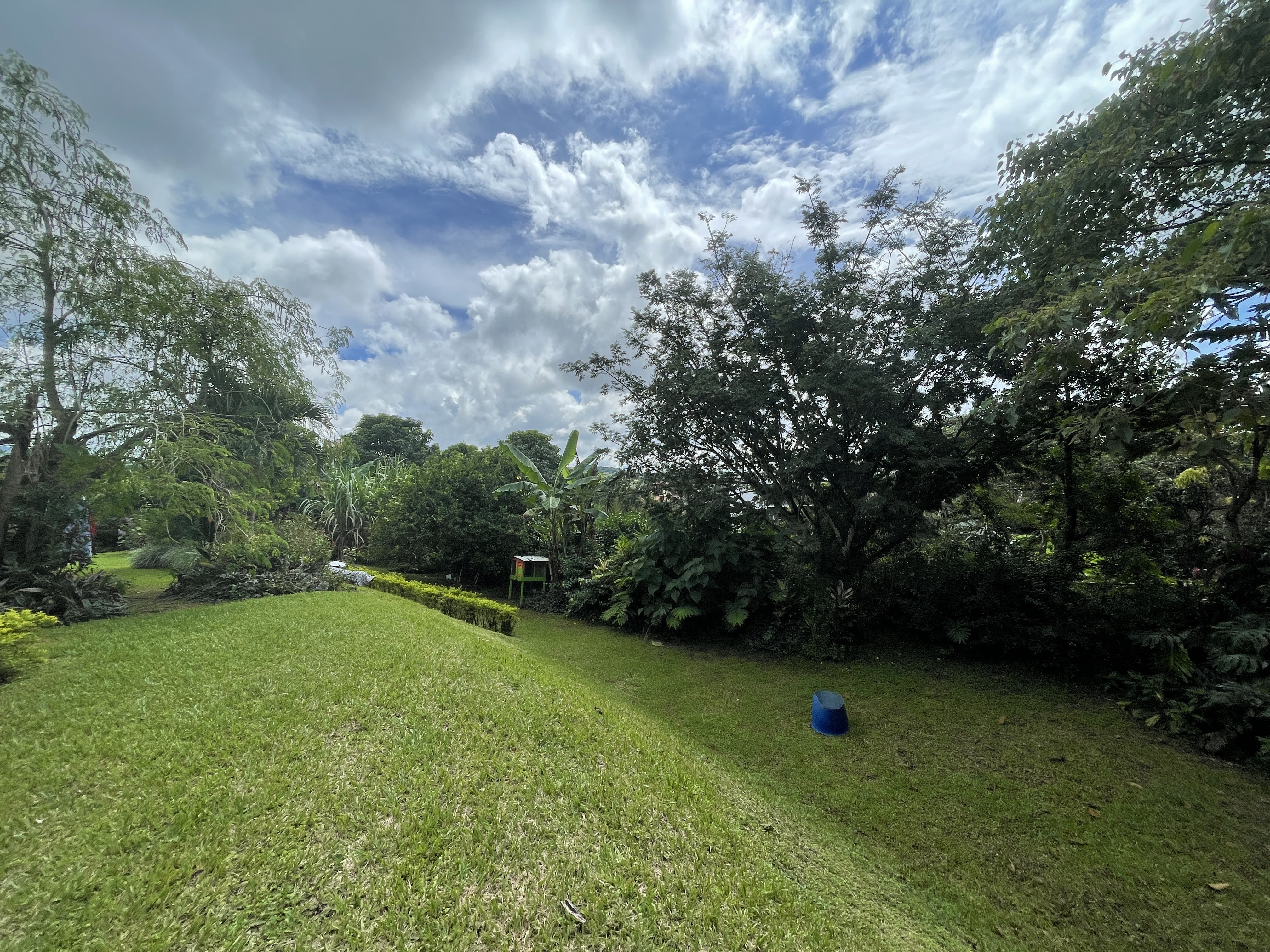 3 bed Single Family Homes For Sale in Grecia, Alajuela - thumb 3