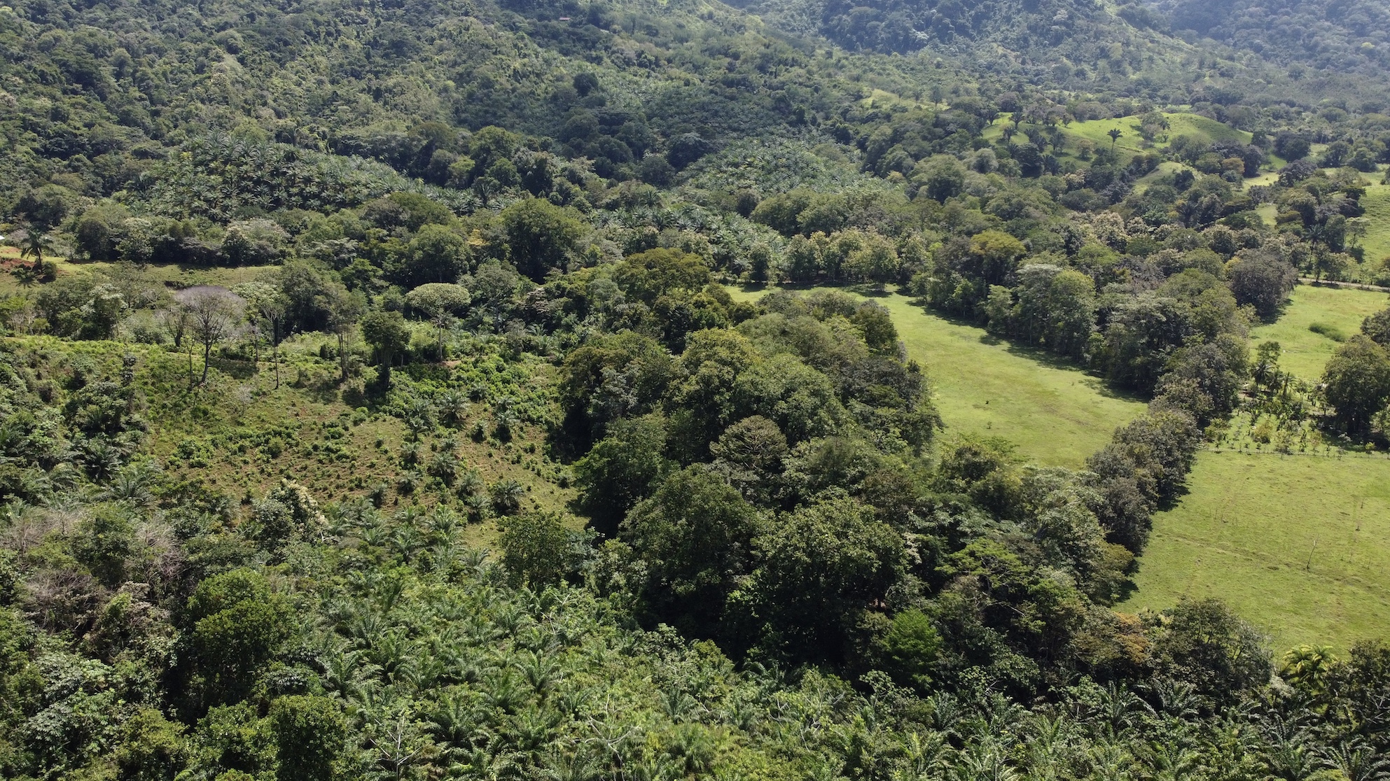 0 bed Land For Sale in Ojochal, Puntarenas - thumb 17