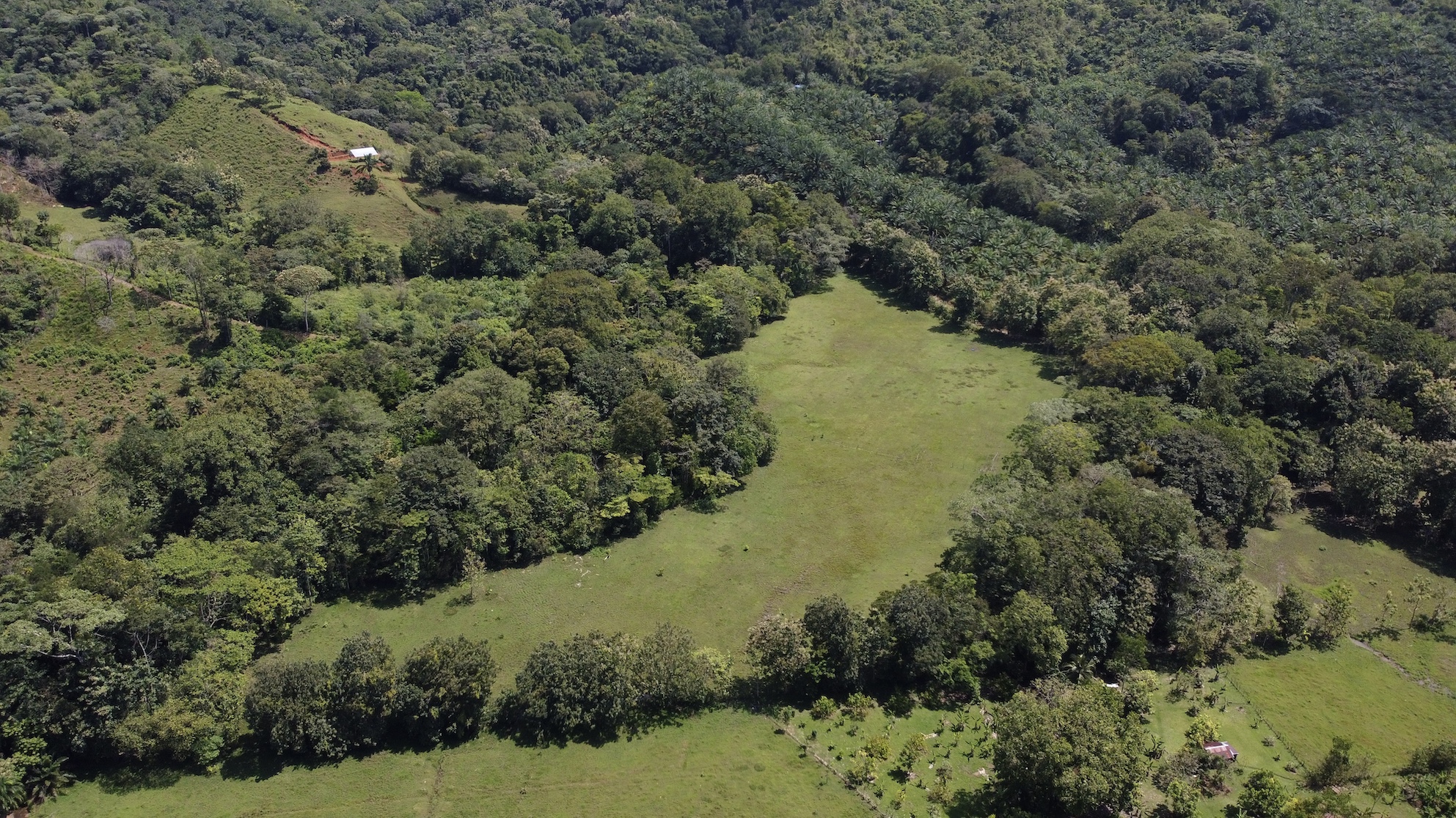 0 bed Land For Sale in Ojochal, Puntarenas - thumb 11