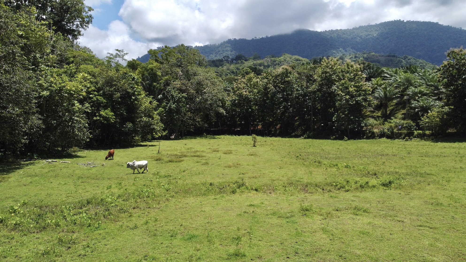 0 bed Land For Sale in Ojochal, Puntarenas - thumb 9