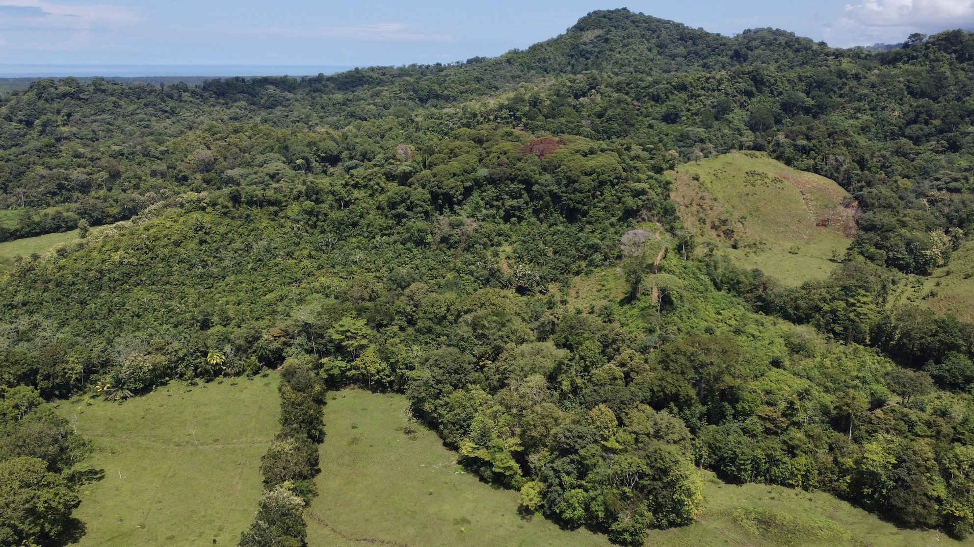 0 bed Land For Sale in Ojochal, Puntarenas - thumb 19