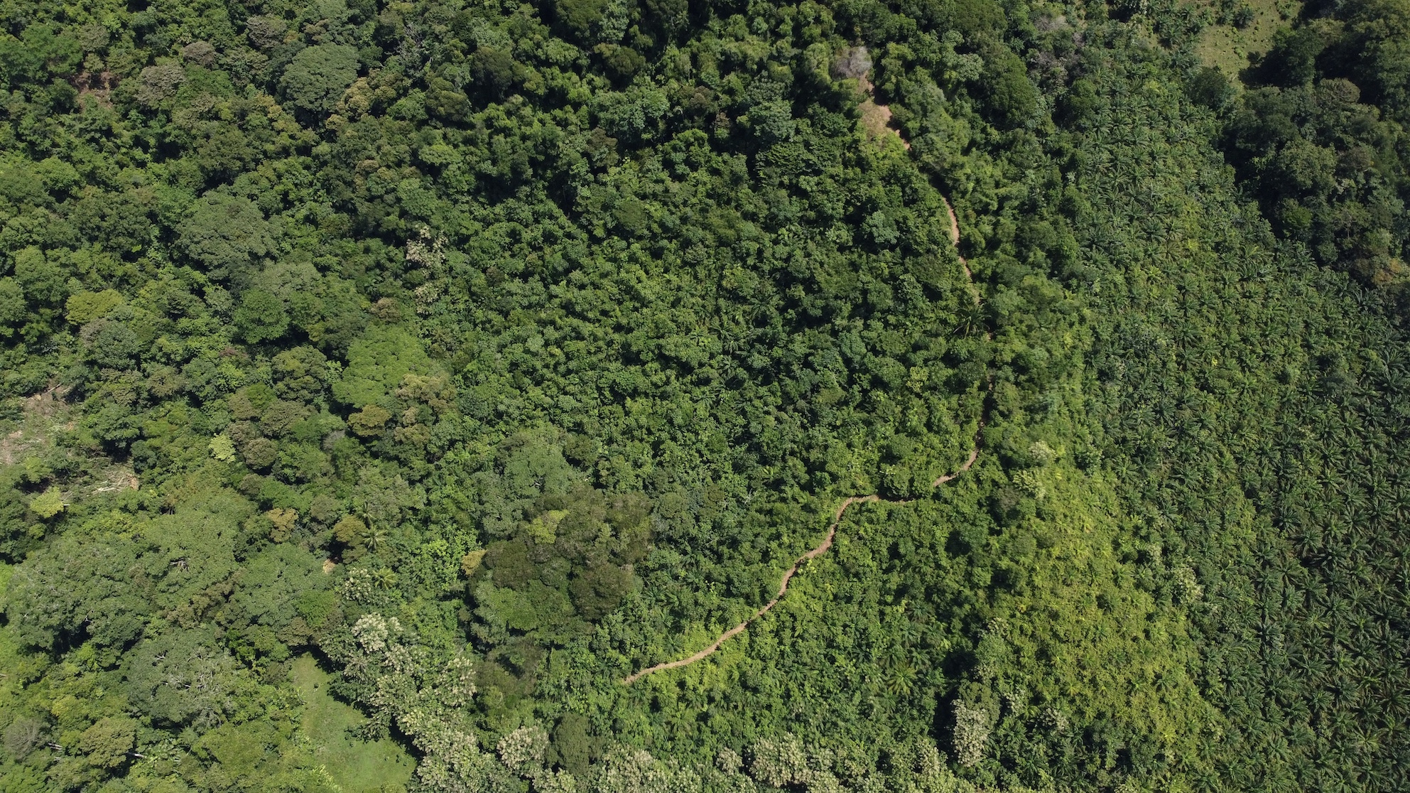 0 bed Land For Sale in Ojochal, Puntarenas - thumb 21