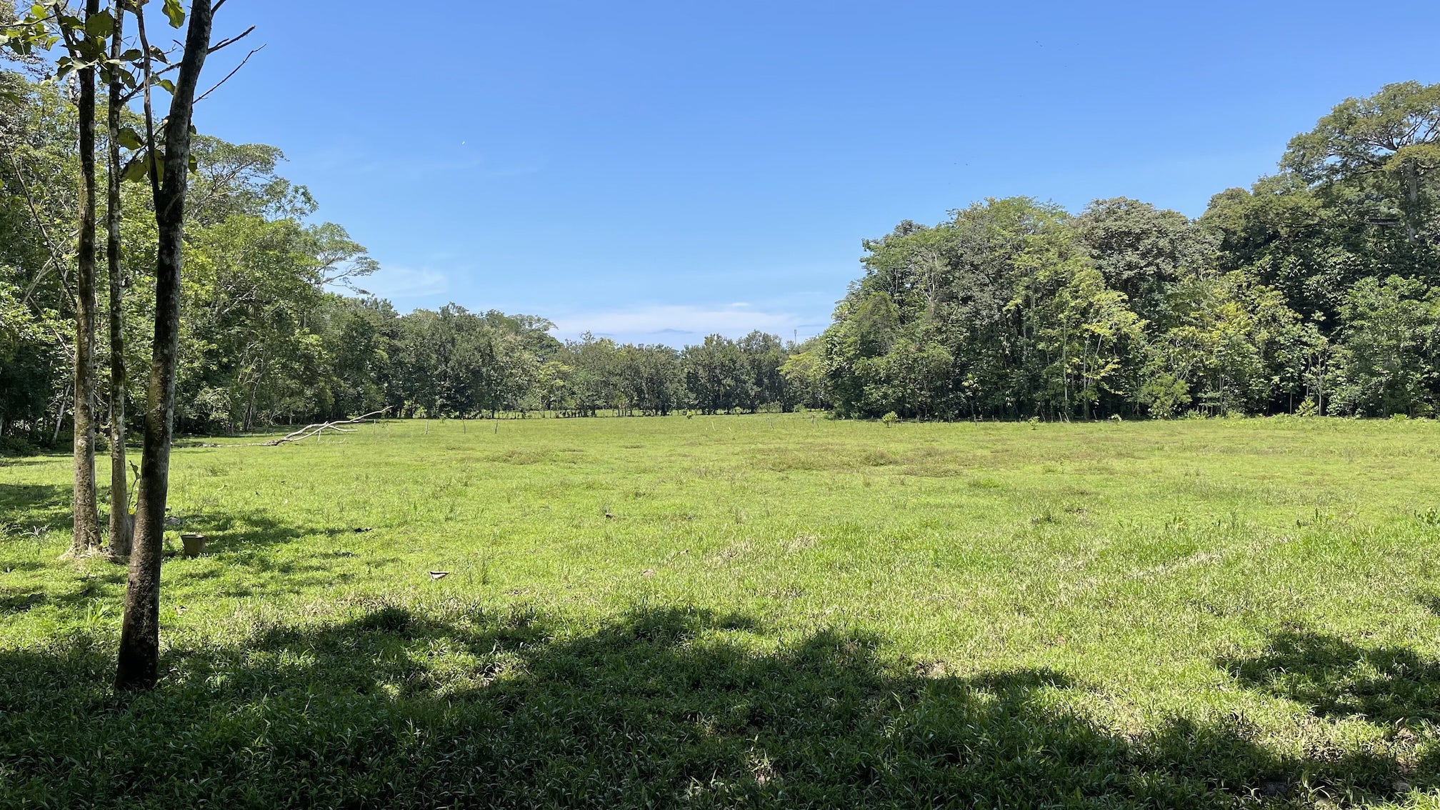 0 bed Land For Sale in Ojochal, Puntarenas - thumb 8