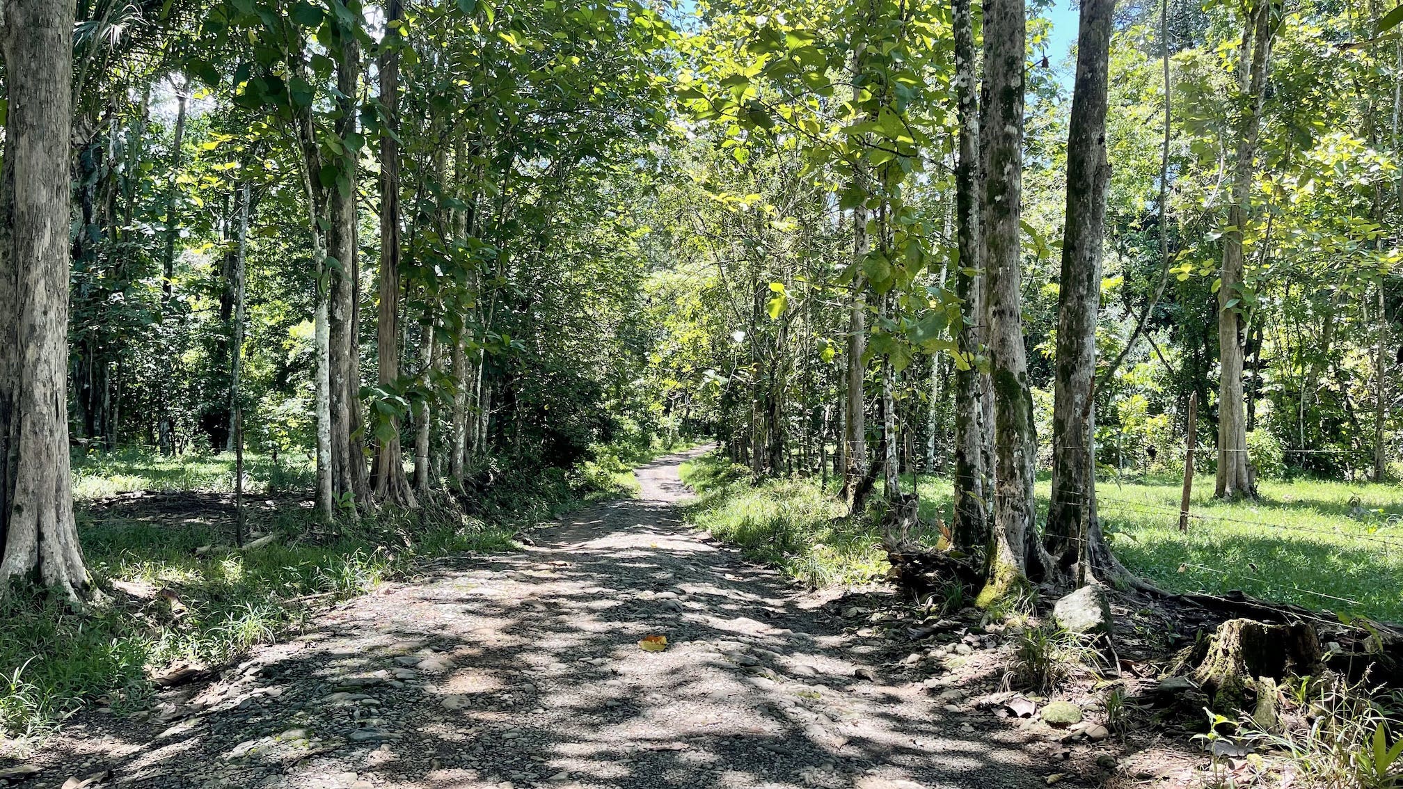 0 bed Land For Sale in Ojochal, Puntarenas - thumb 25