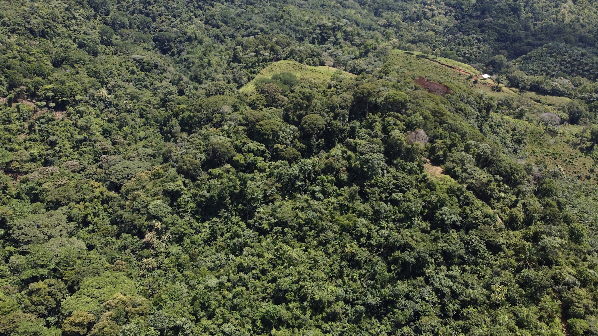 0 bed Land For Sale in Ojochal, Puntarenas - thumb 20
