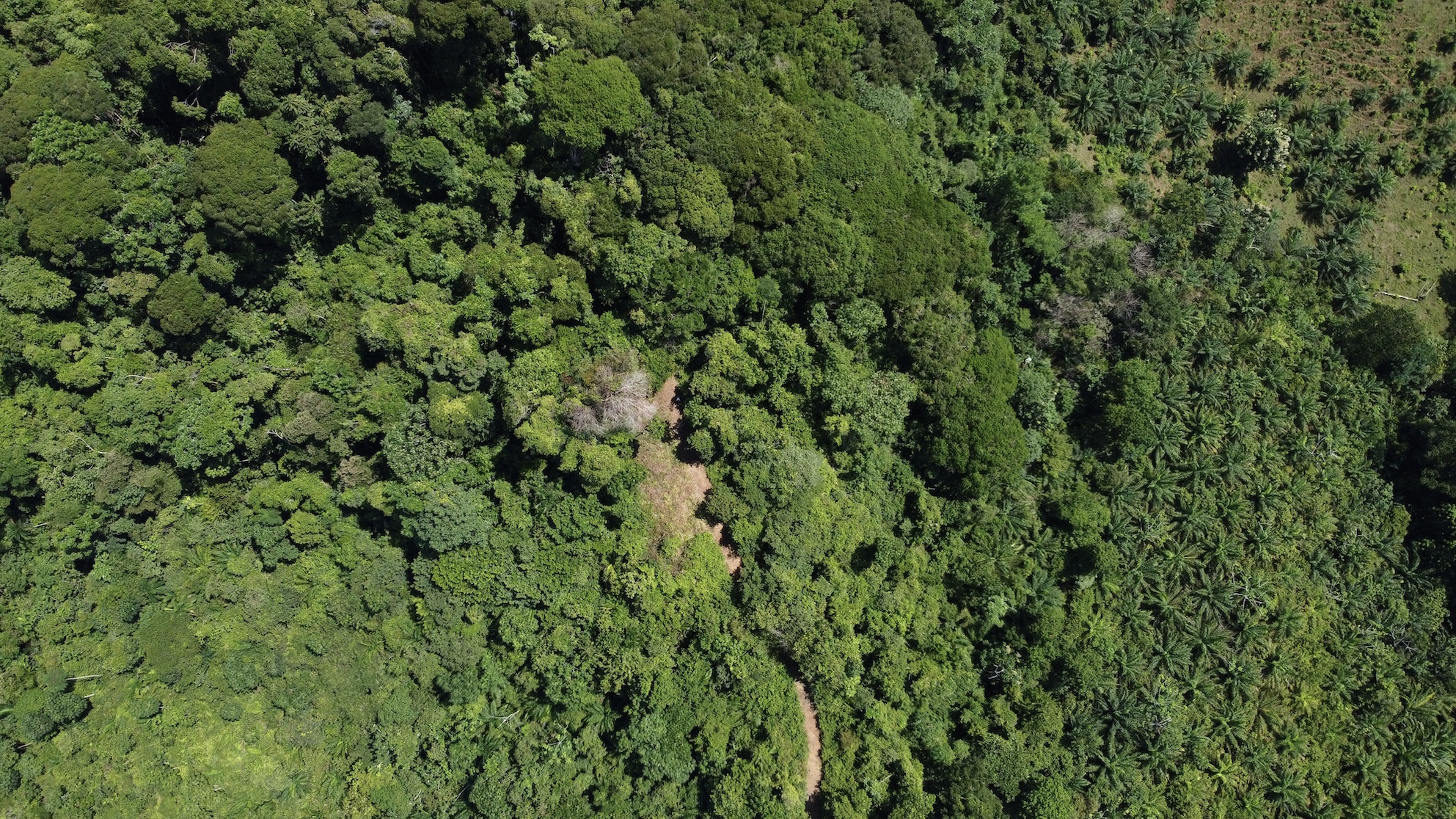 0 bed Land For Sale in Ojochal, Puntarenas - thumb 22