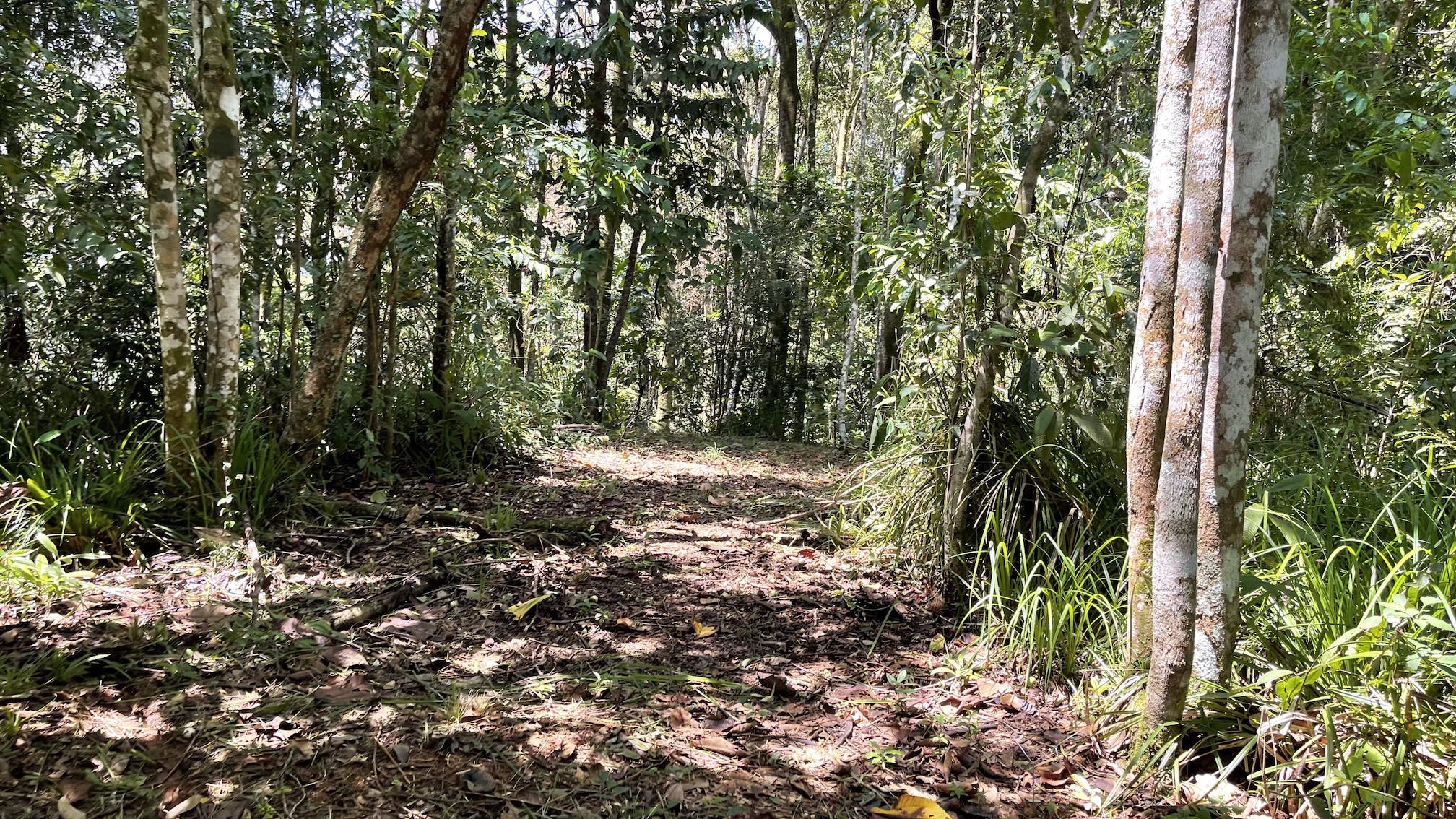 0 bed Land For Sale in Ojochal, Puntarenas - thumb 24