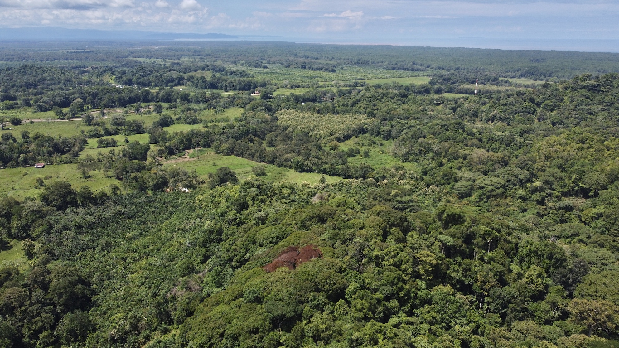 0 bed Land For Sale in Ojochal, Puntarenas - thumb 18
