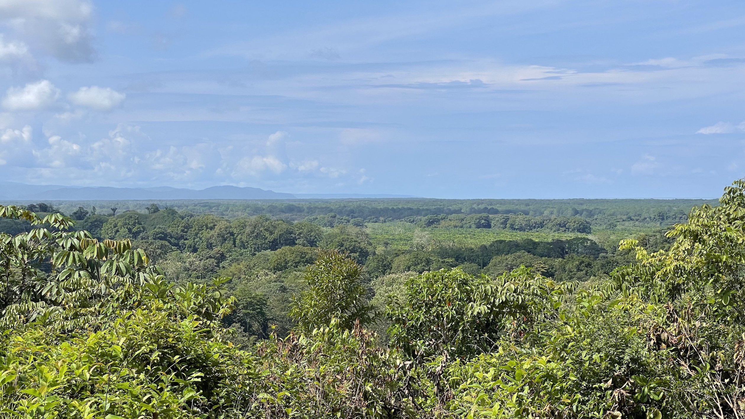 0 bed Land For Sale in Ojochal, Puntarenas - thumb 2