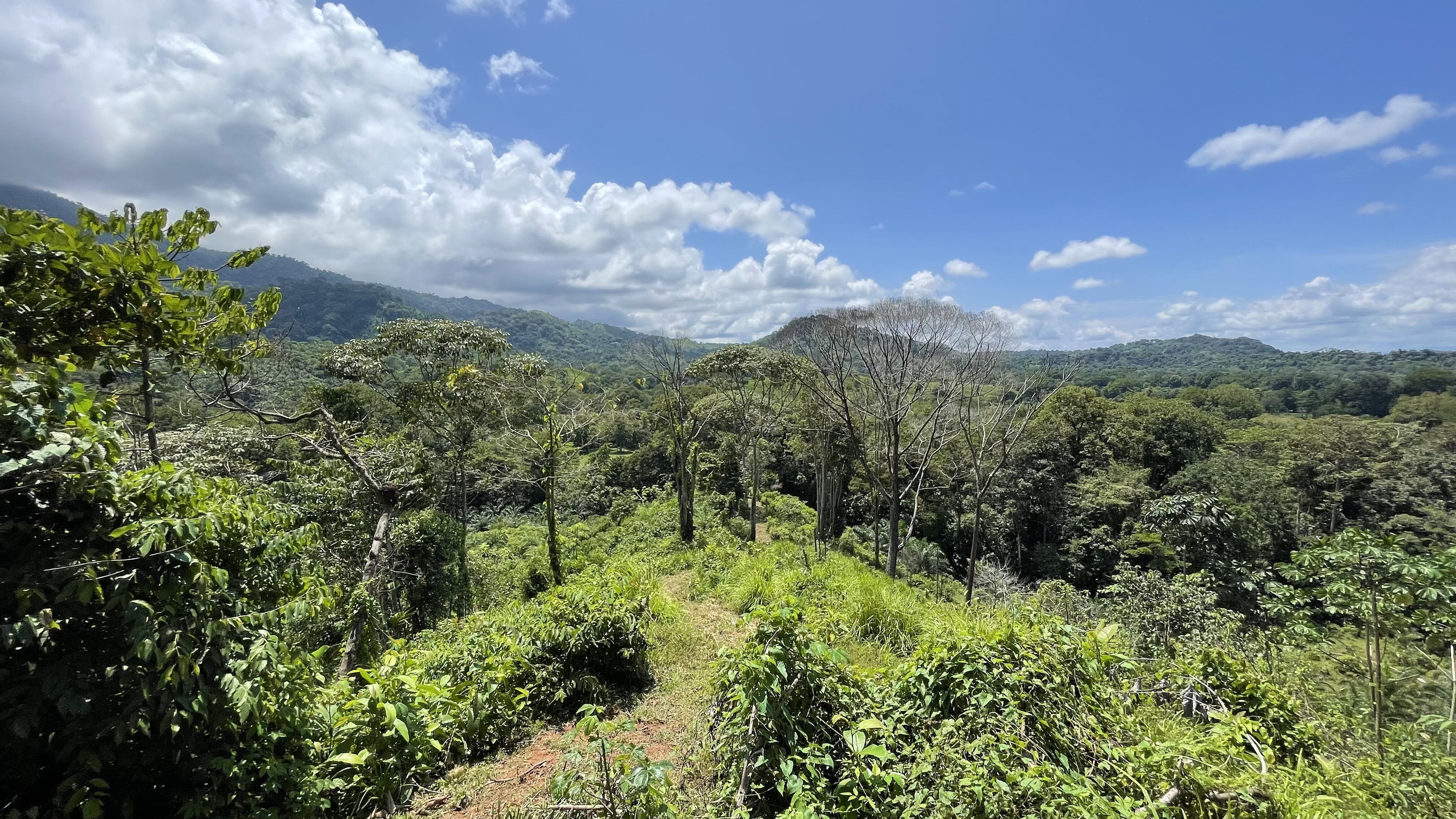 0 bed Land For Sale in Ojochal, Puntarenas - thumb 6