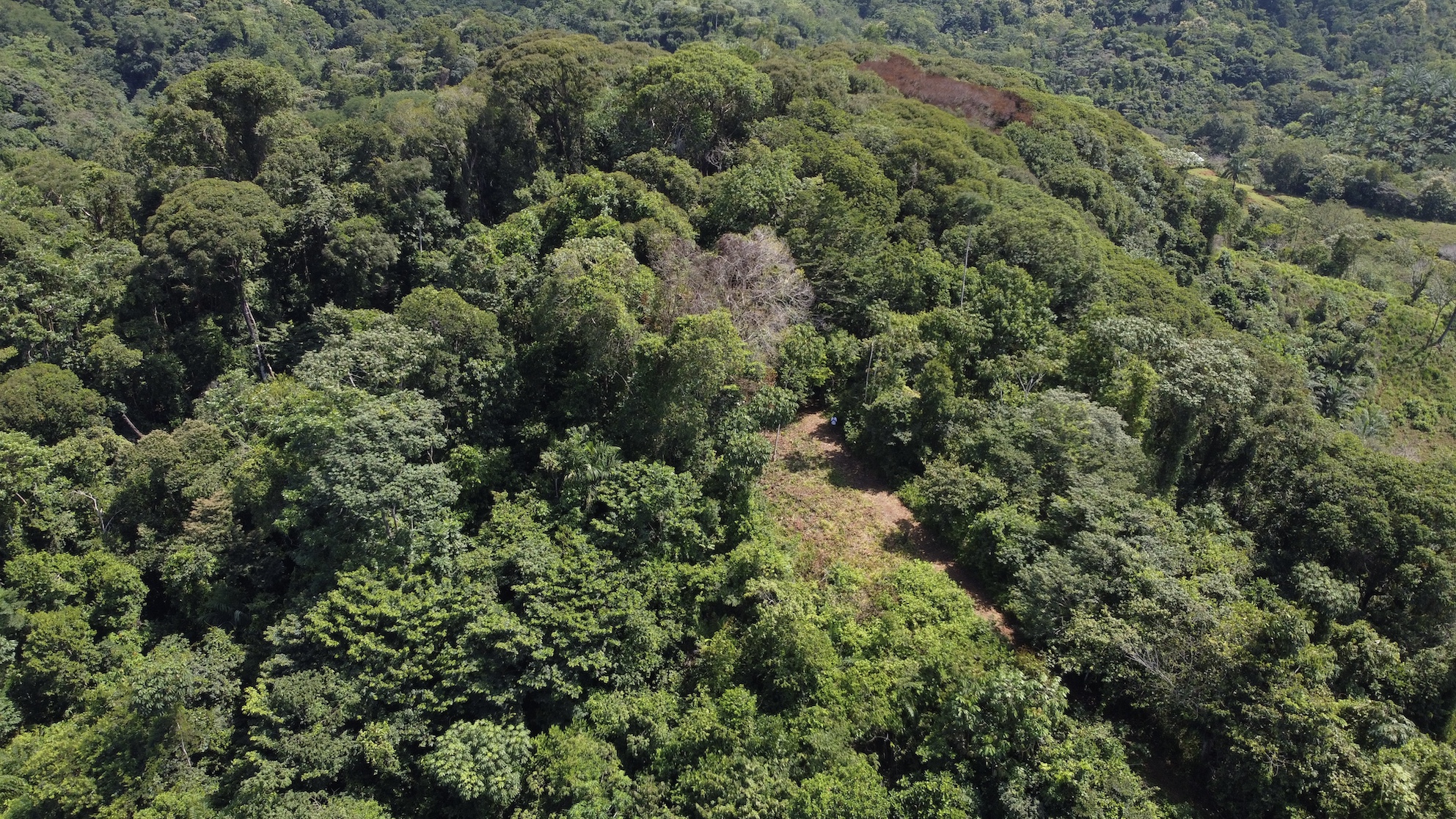 0 bed Land For Sale in Ojochal, Puntarenas - thumb 16