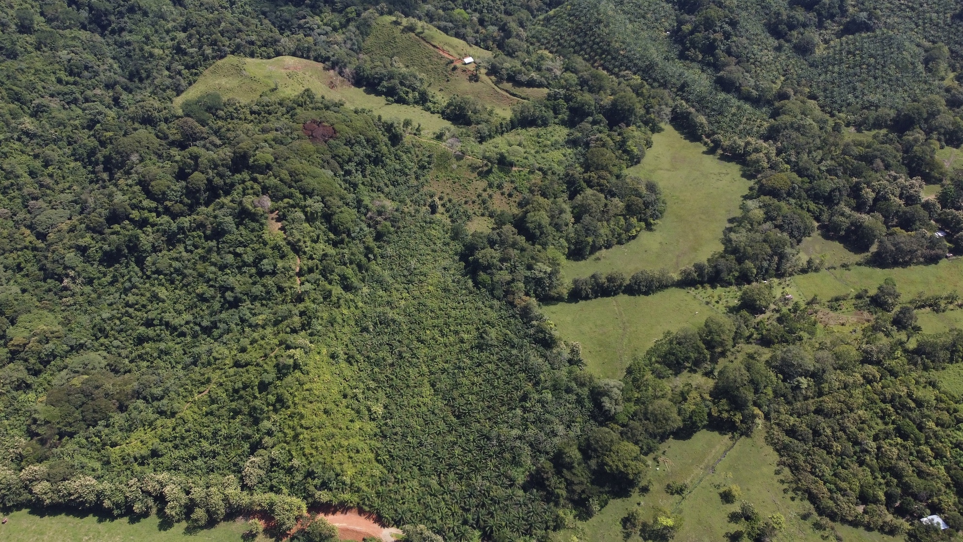 0 bed Land For Sale in Ojochal, Puntarenas - thumb 12