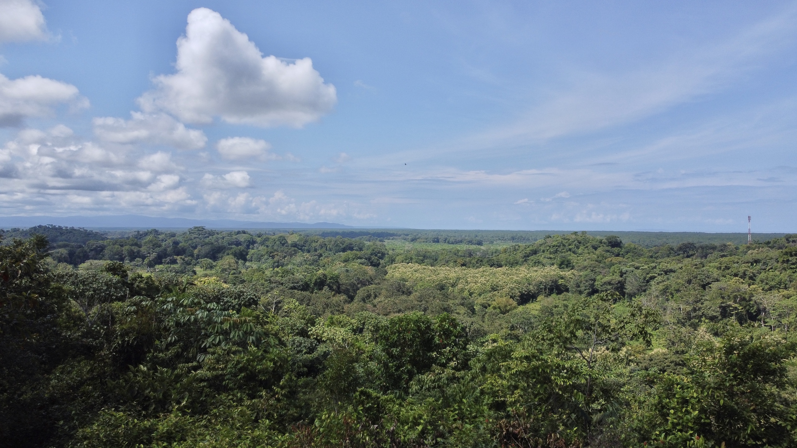 0 bed Land For Sale in Ojochal, Puntarenas - thumb 1
