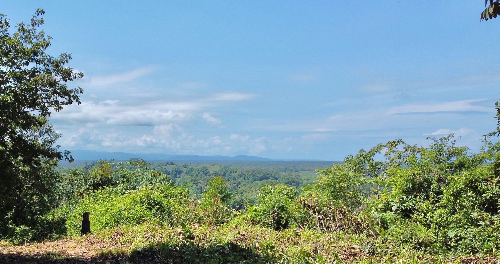 0 bed Land For Sale in Ojochal, Puntarenas - thumb 3
