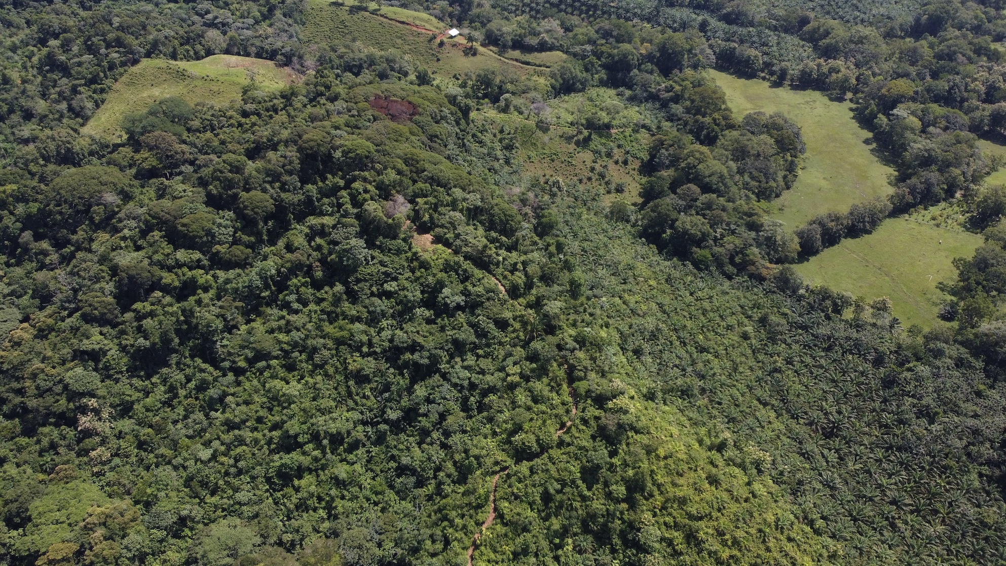 0 bed Land For Sale in Ojochal, Puntarenas - thumb 15