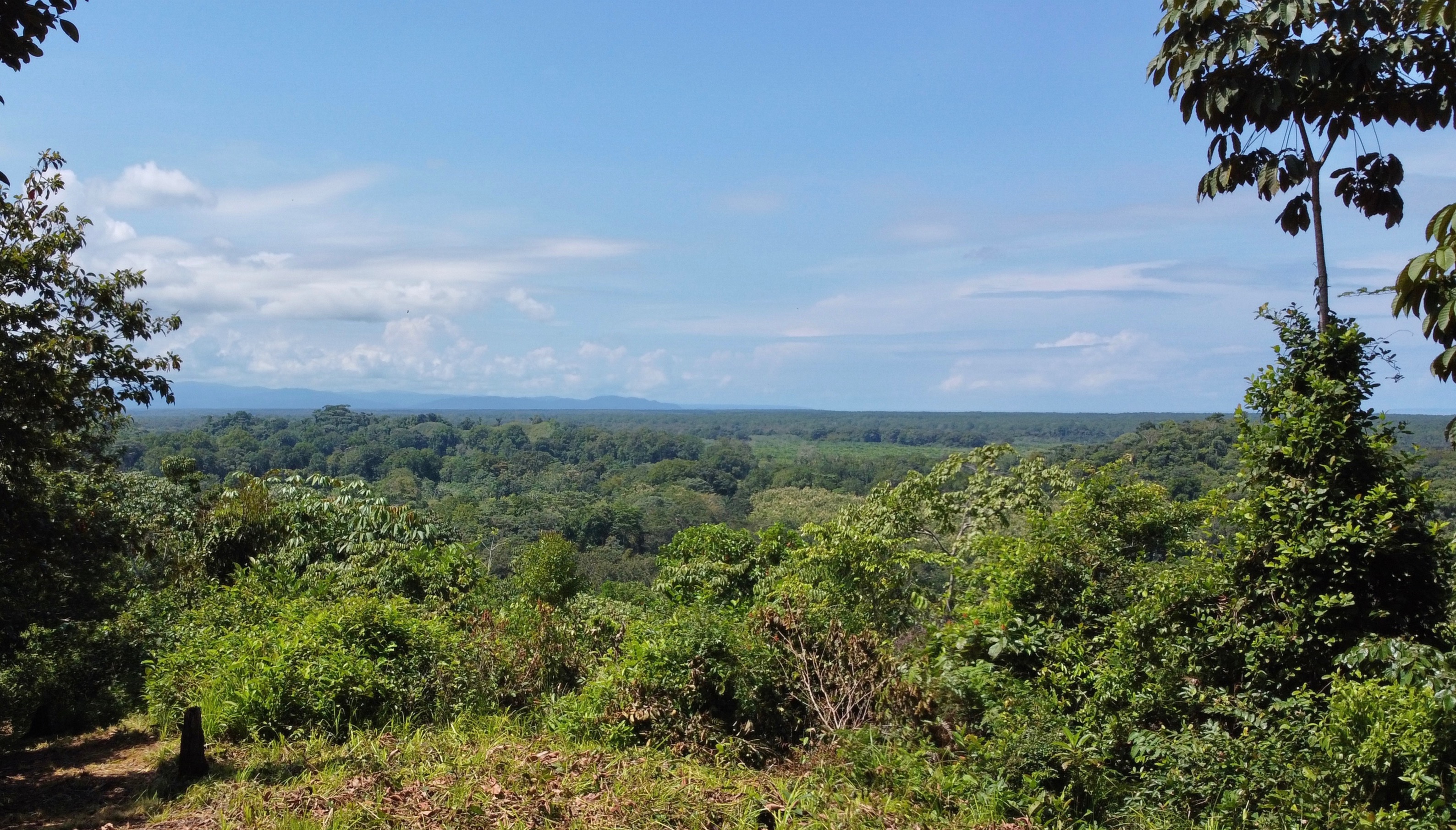 0 bed Land For Sale in Ojochal, Puntarenas - thumb 5