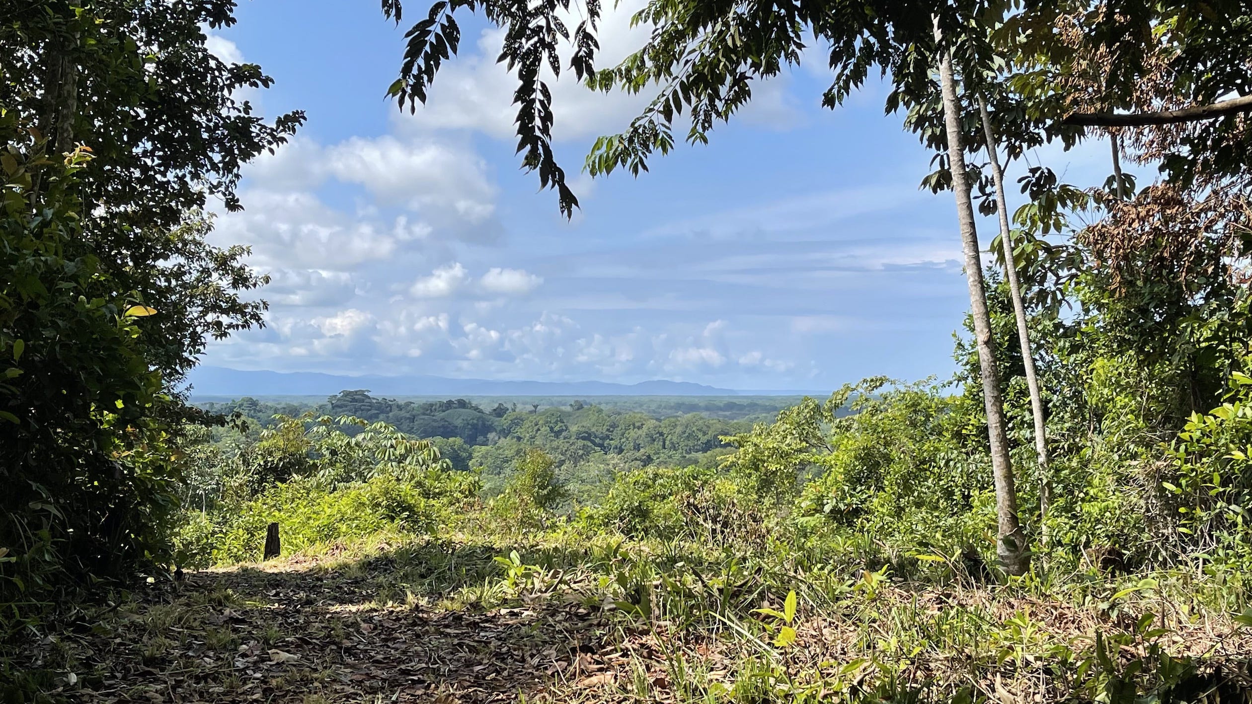 0 bed Land For Sale in Ojochal, Puntarenas - thumb 4