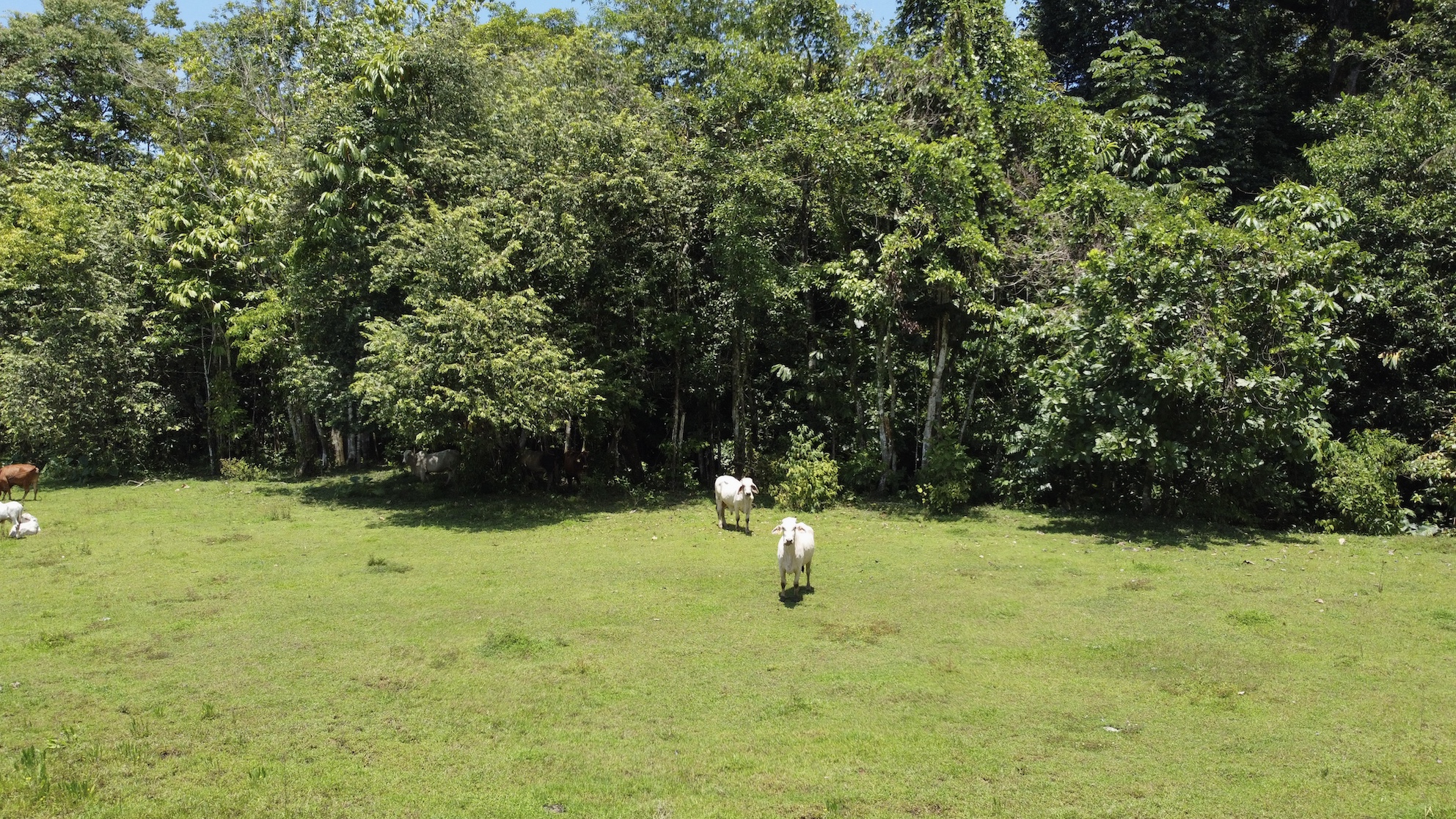 0 bed Land For Sale in Ojochal, Puntarenas - thumb 10