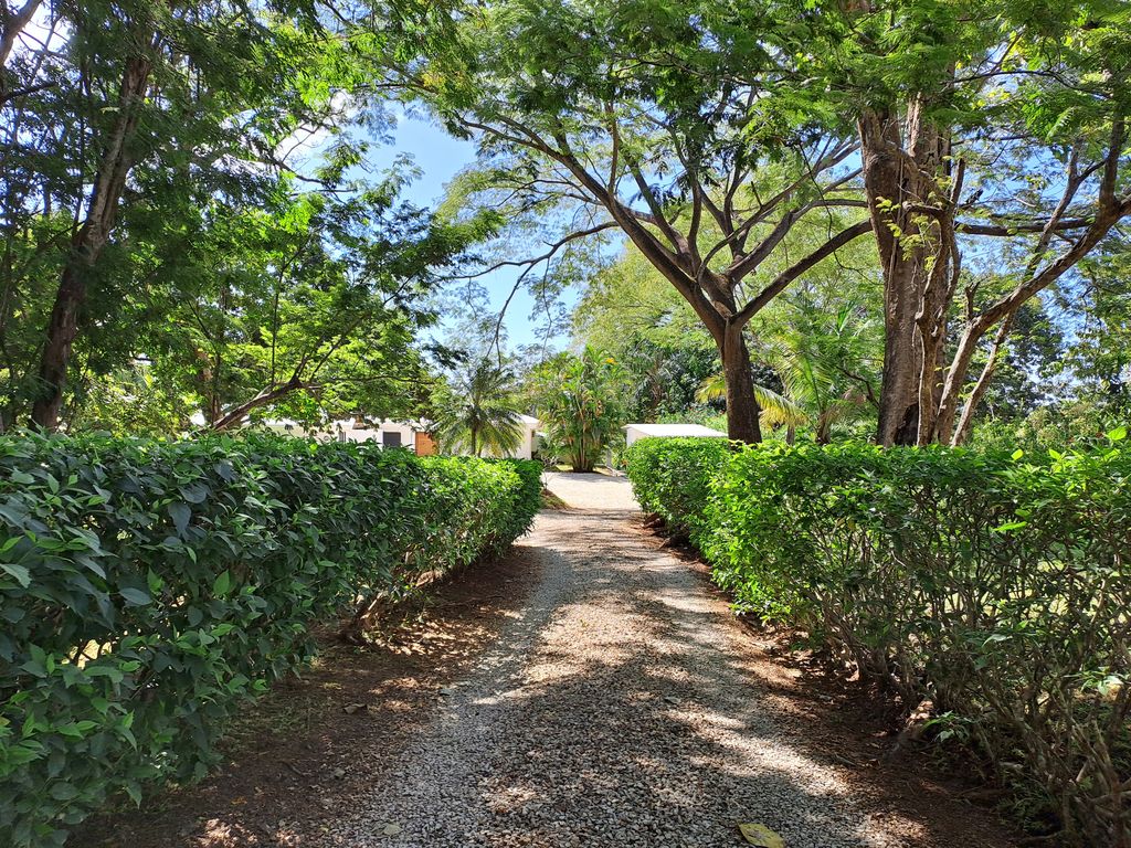 3 bed Single Family Homes For Sale in Samara, Guanacaste - thumb 22