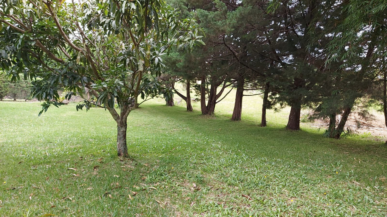 0 bed Land For Sale in San Rafael, Heredia - thumb 6