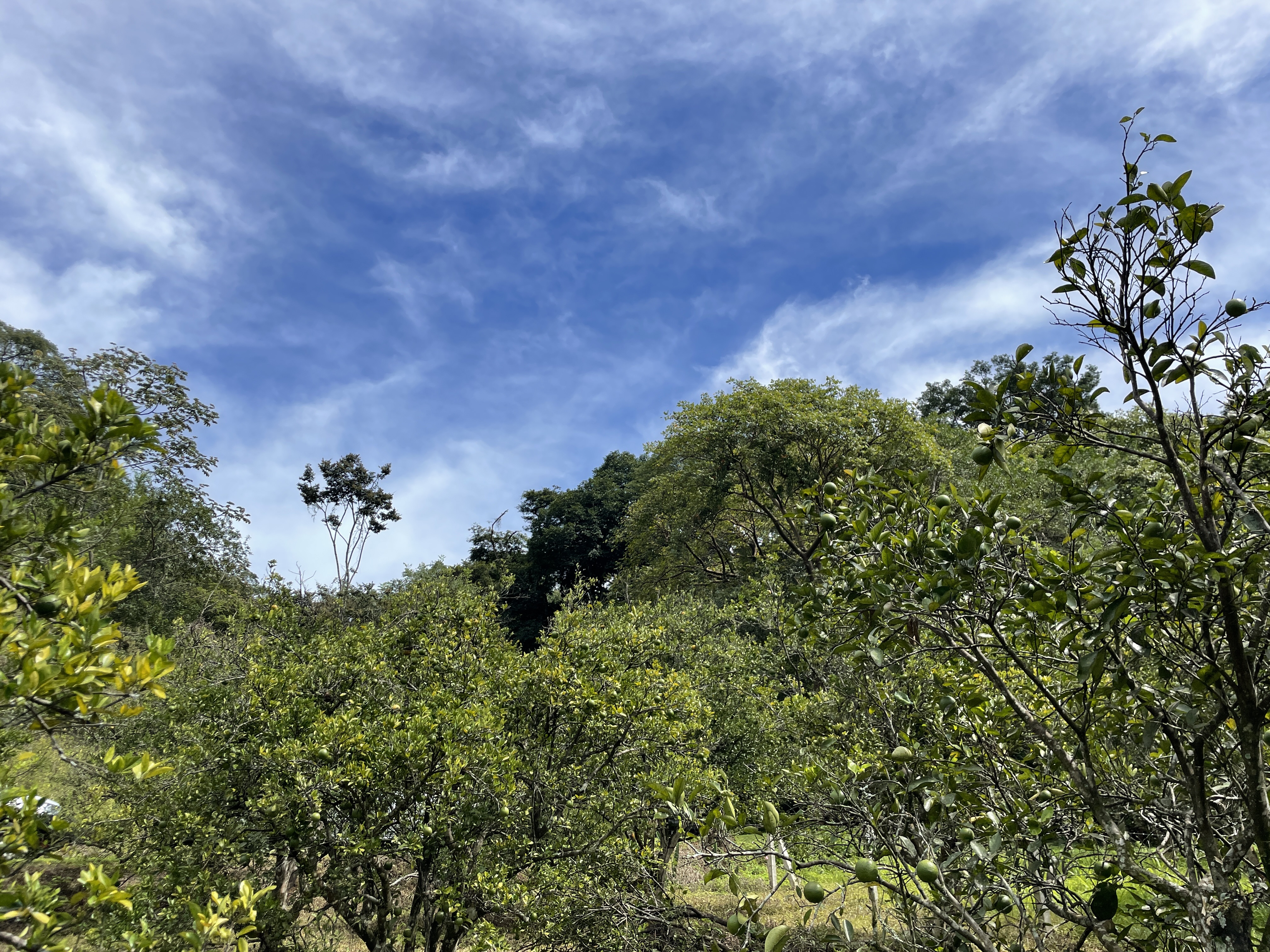 0 bed Land For Sale in Atenas, Alajuela - thumb 2