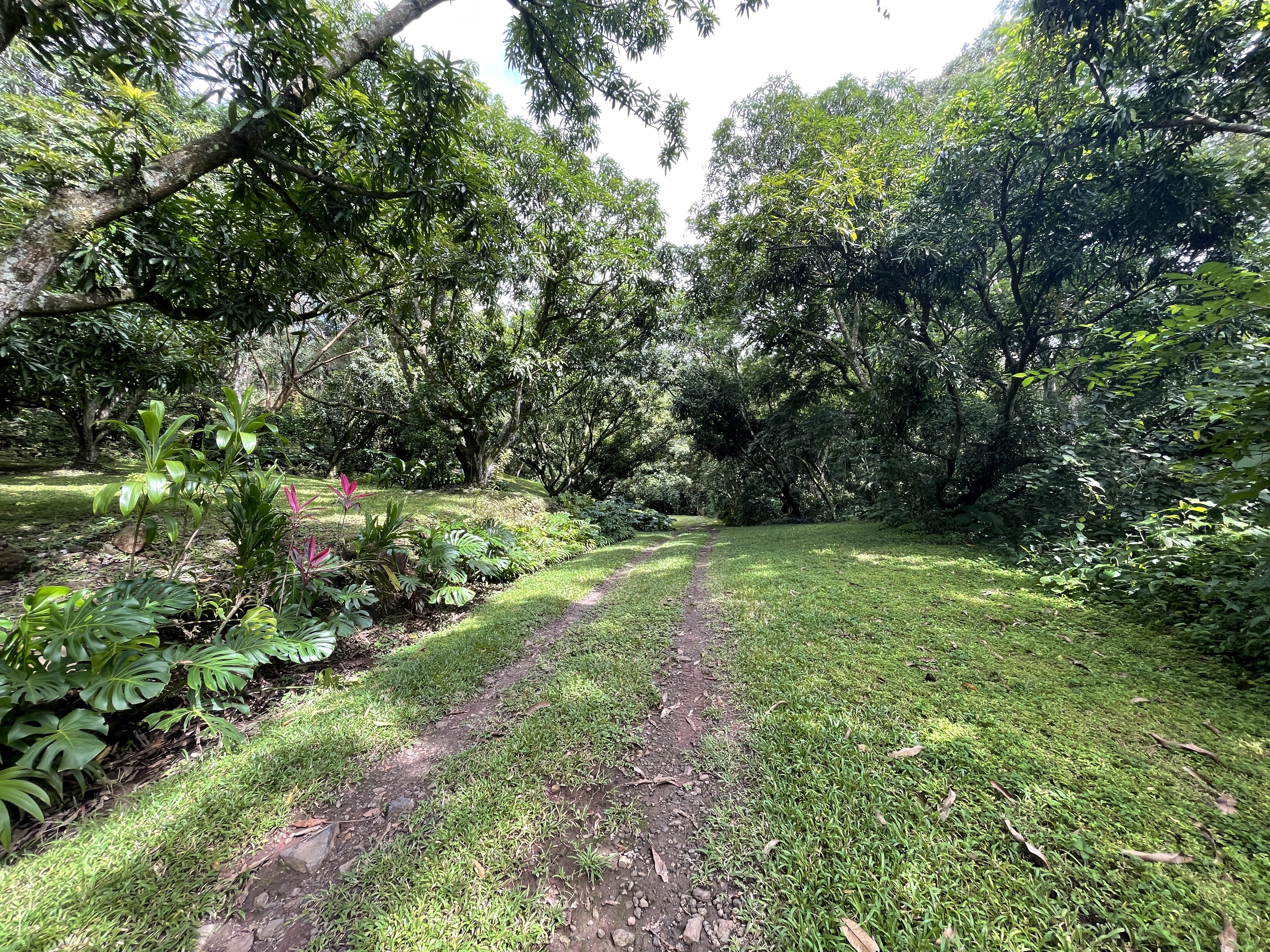 0 bed Land For Sale in Atenas, Alajuela - thumb 3