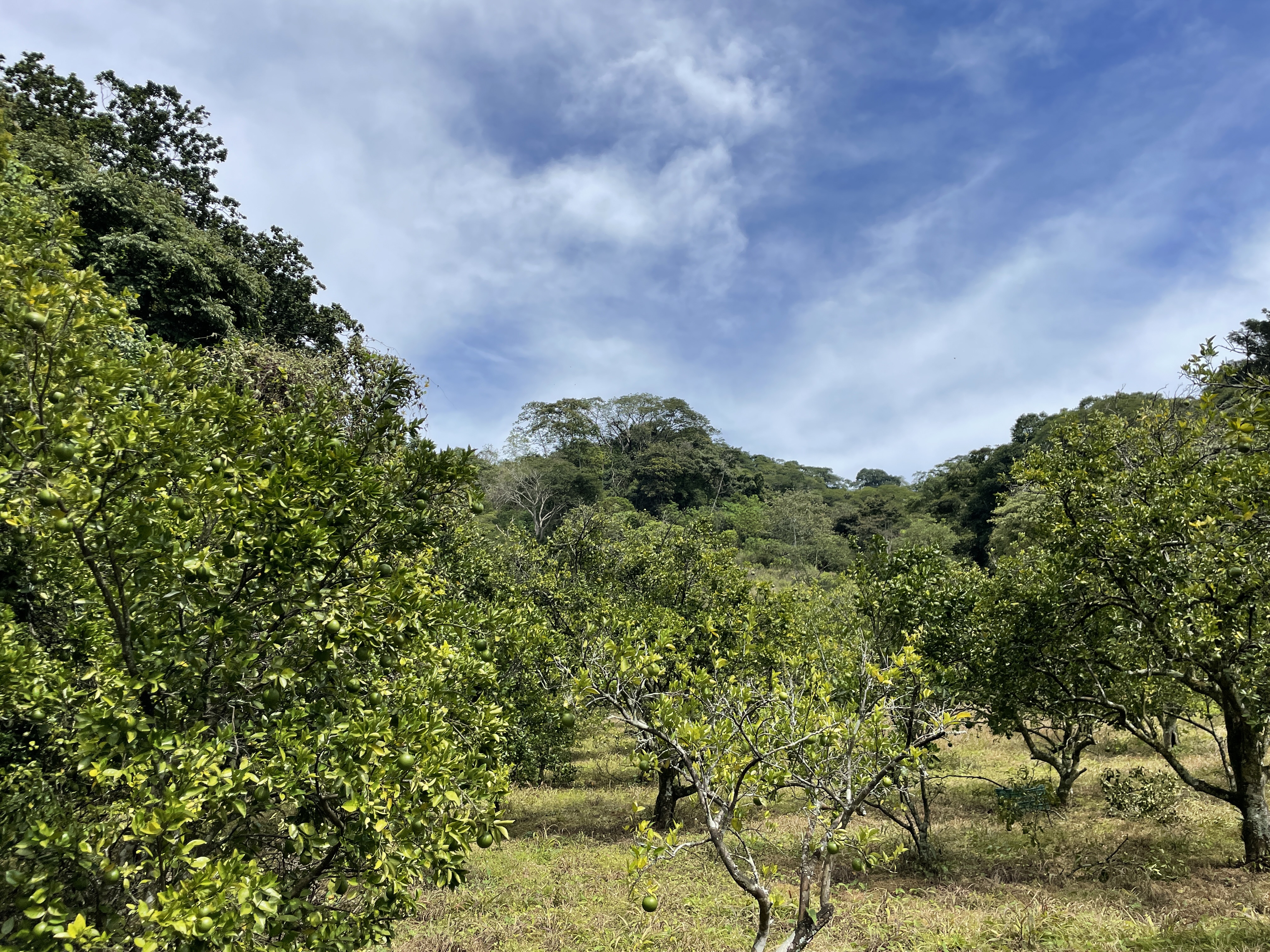 0 bed Land For Sale in Atenas, Alajuela - thumb 1