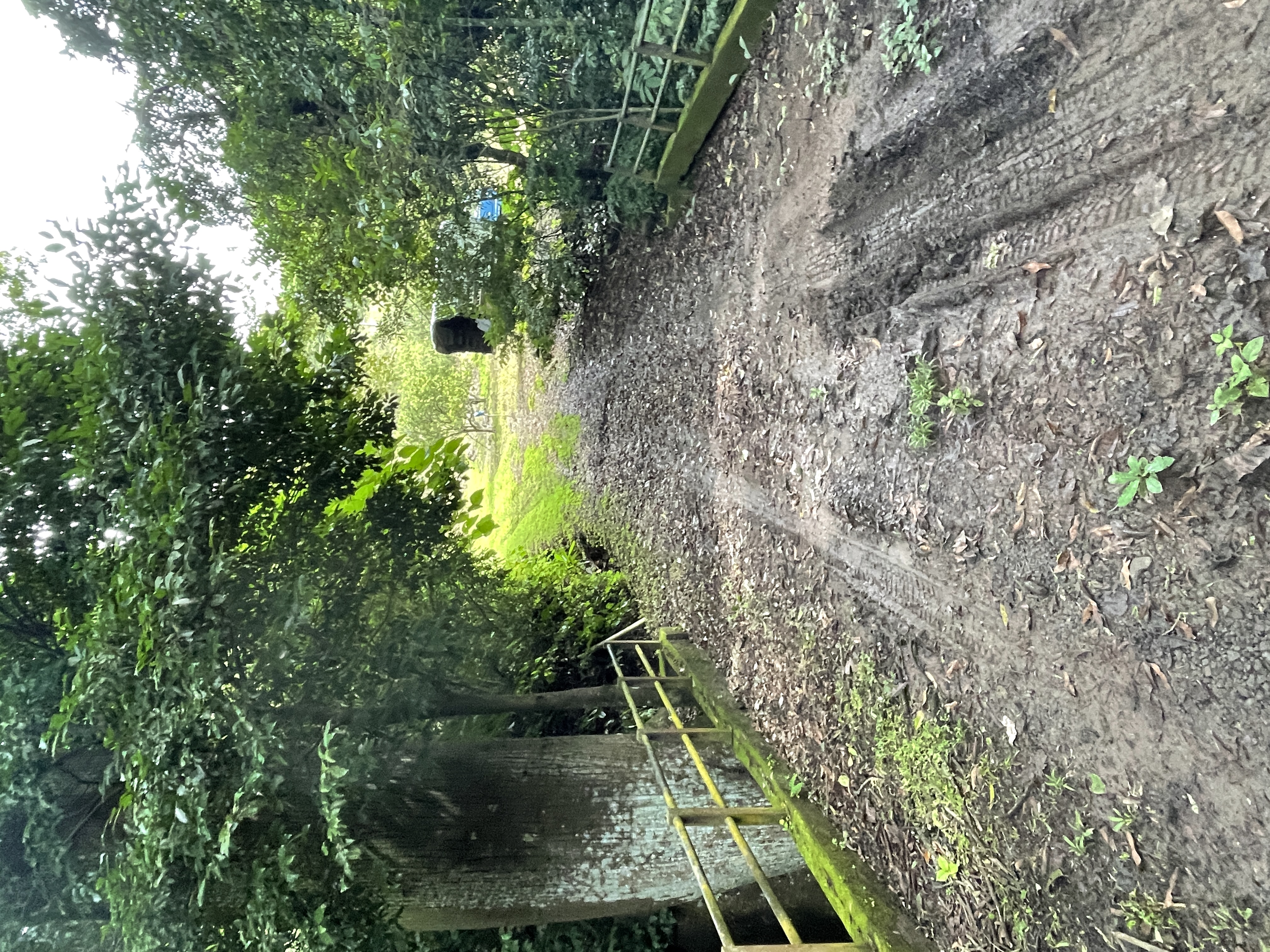 0 bed Land For Sale in Atenas, Alajuela - thumb 9