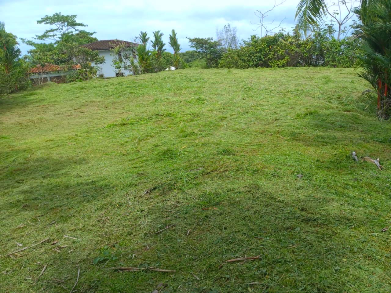 0 bed Land For Sale in Dominical, Puntarenas - thumb 1