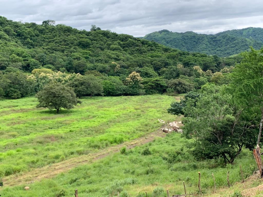 4 bed Commercial For Sale in Tamarindo, Guanacaste - thumb 13