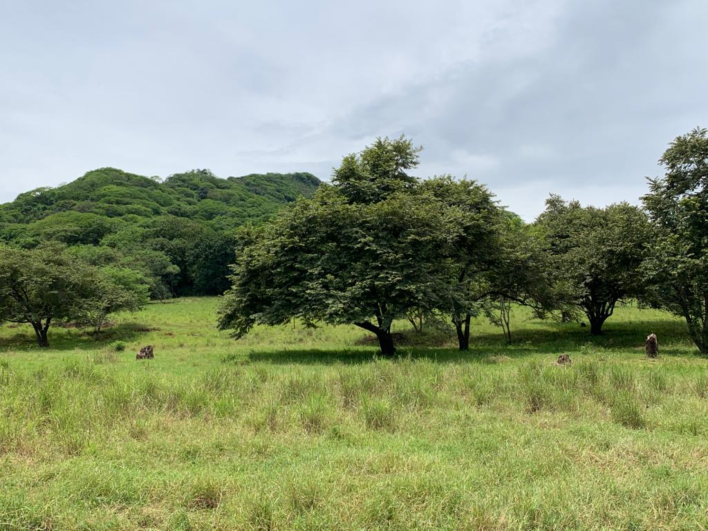 4 bed Commercial For Sale in Tamarindo, Guanacaste - thumb 6