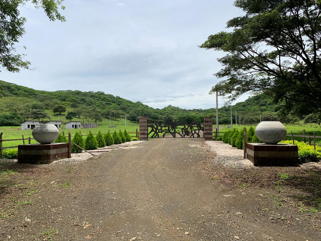 4 bed Commercial For Sale in Tamarindo, Guanacaste - thumb 2