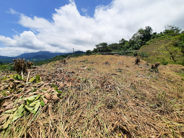 0 bed Land For Sale in Ojochal, Puntarenas - thumb 11