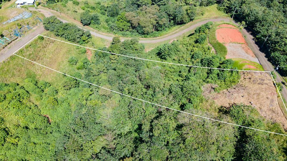 0 bed Land For Sale in Ojochal, Puntarenas - thumb 12