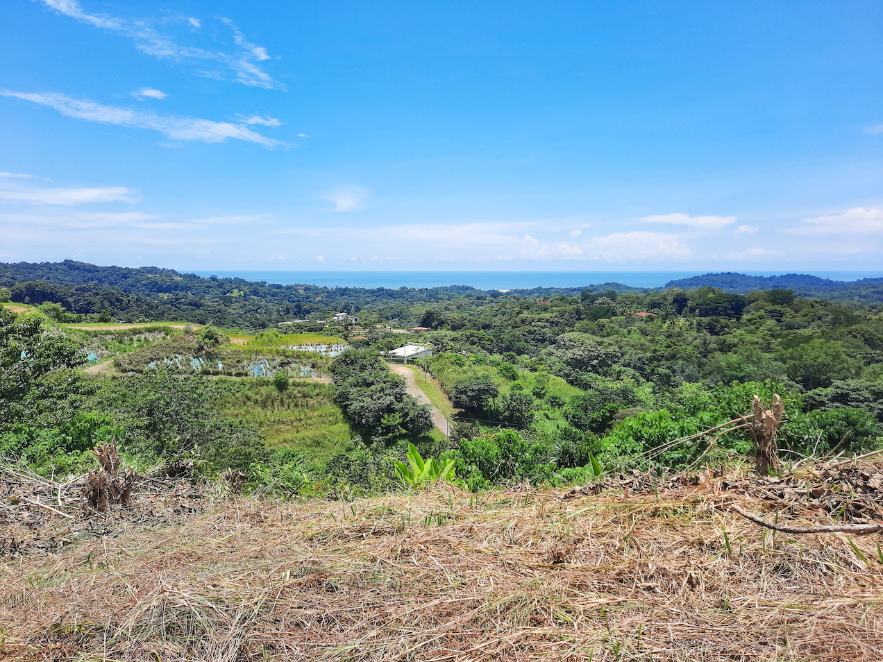 0 bed Land For Sale in Ojochal, Puntarenas - thumb 1