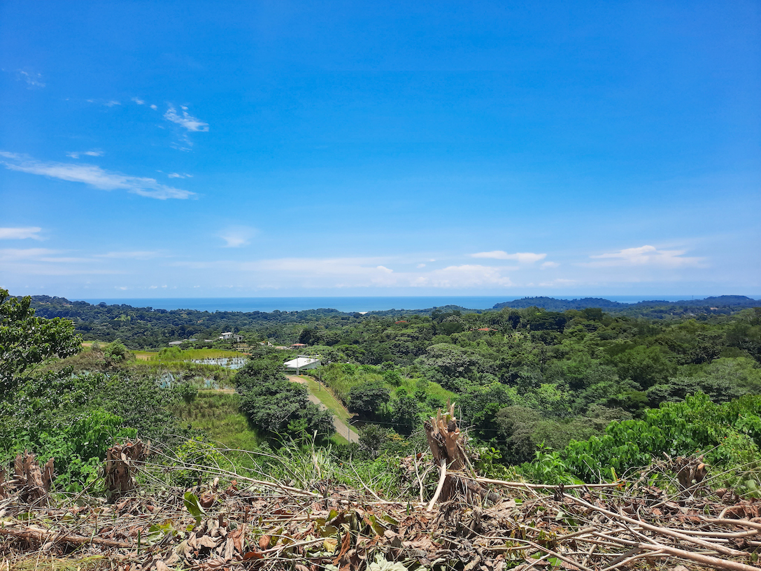 0 bed Land For Sale in Ojochal, Puntarenas - thumb 2
