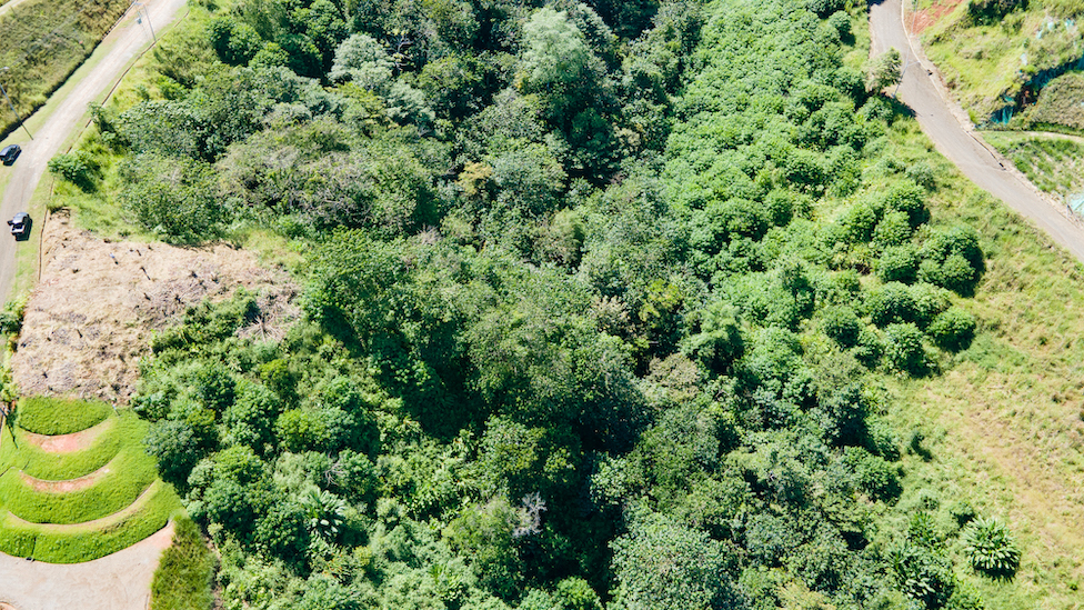 0 bed Land For Sale in Ojochal, Puntarenas - thumb 10