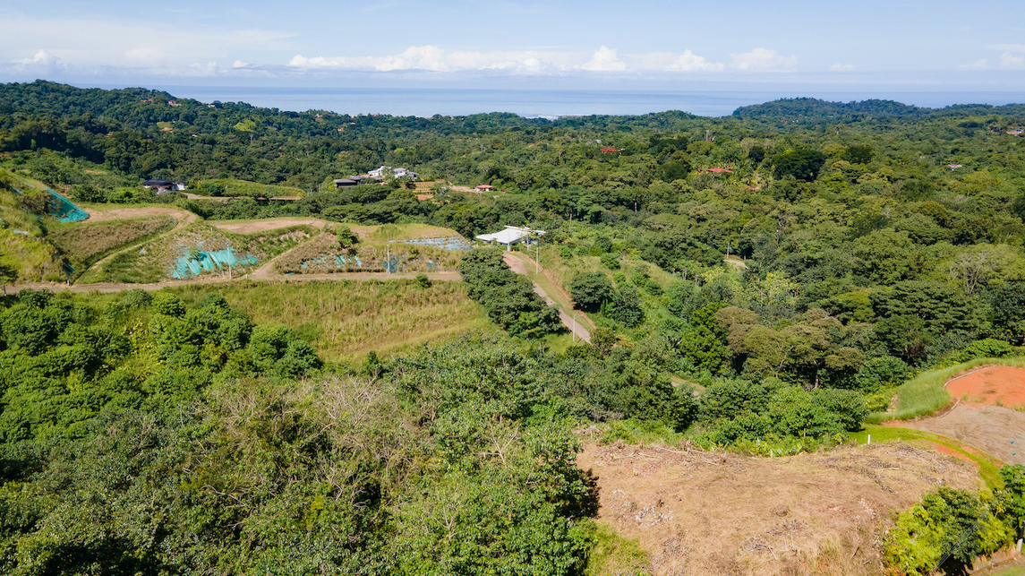 0 bed Land For Sale in Ojochal, Puntarenas - thumb 9