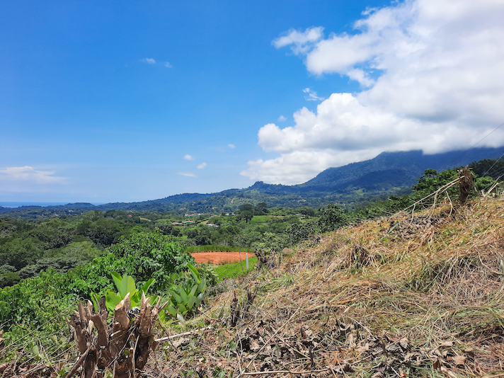 0 bed Land For Sale in Ojochal, Puntarenas - thumb 3