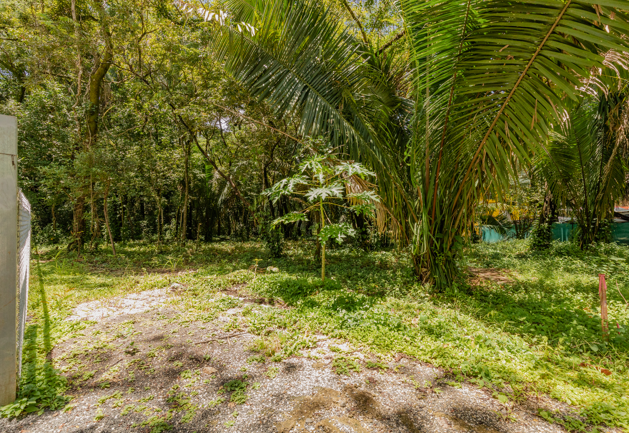 0 bed Land For Sale in Nosara, Guanacaste - thumb 1