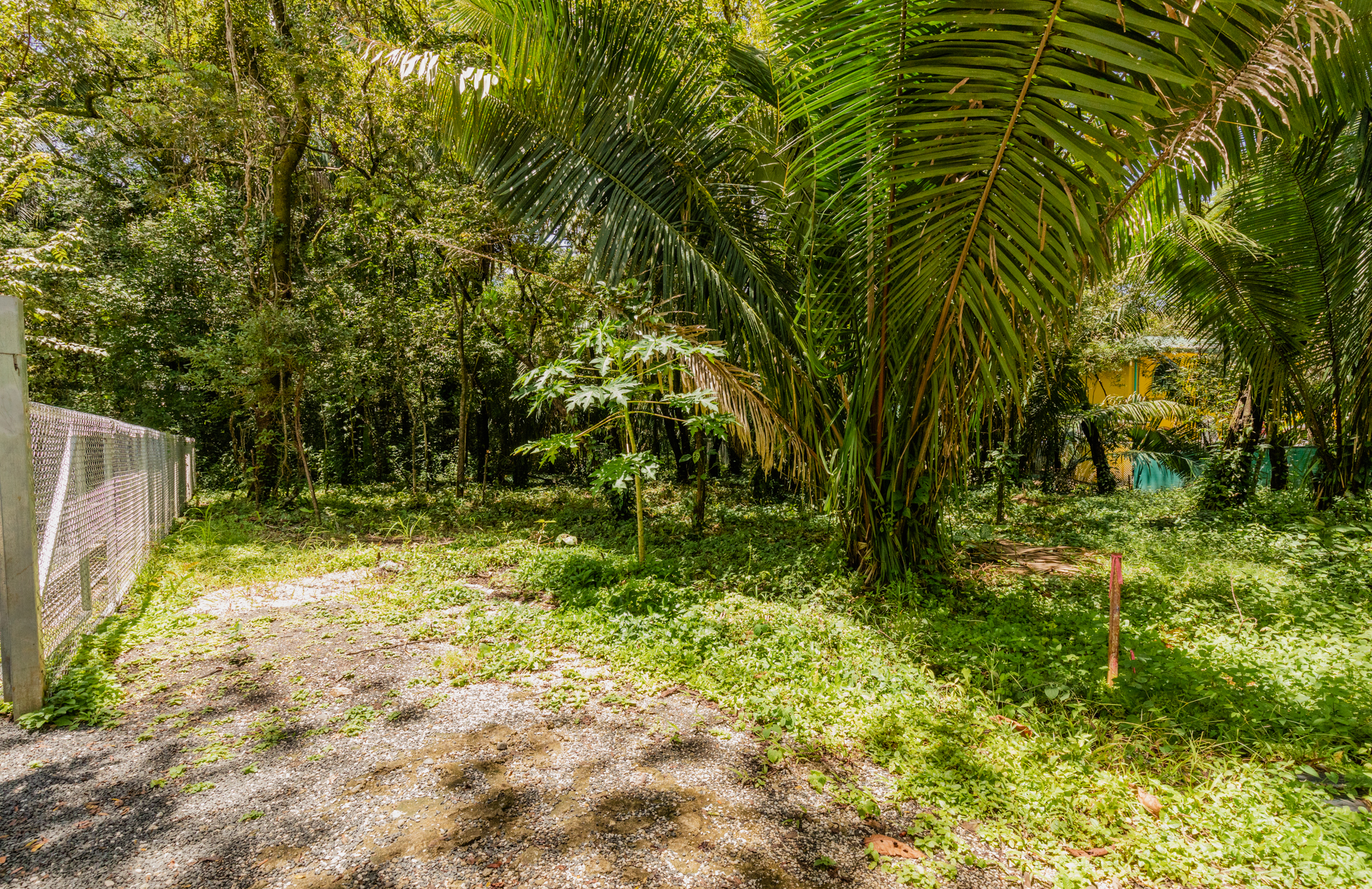 0 bed Land For Sale in Nosara, Guanacaste - thumb 6