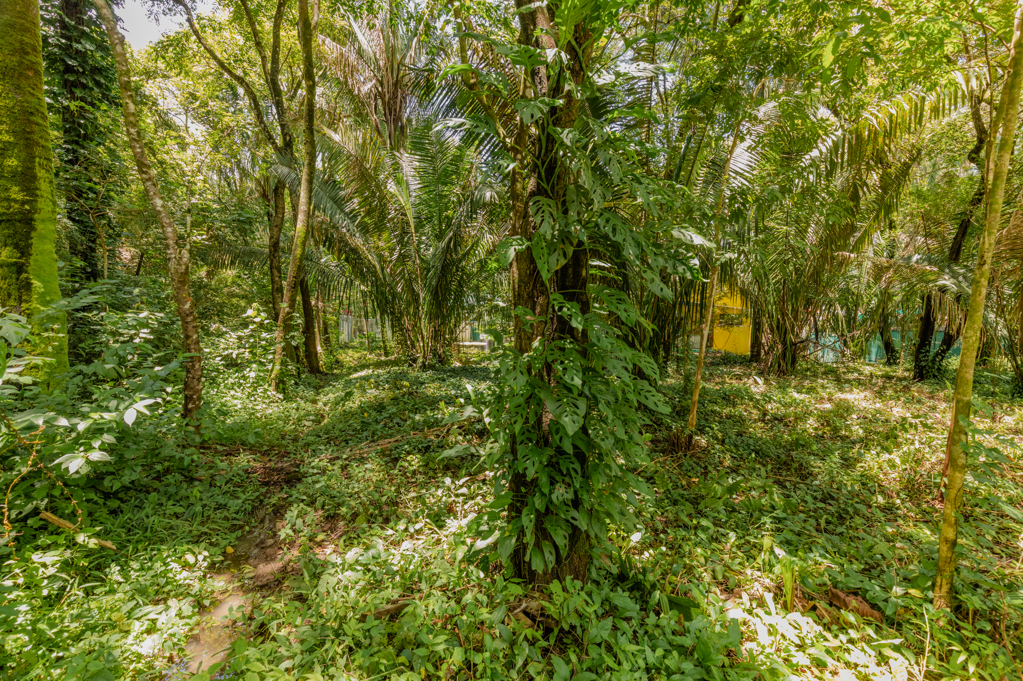 0 bed Land For Sale in Nosara, Guanacaste - thumb 2