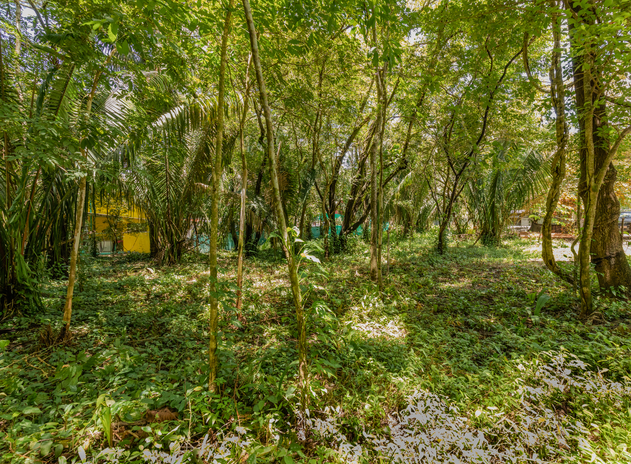 0 bed Land For Sale in Nosara, Guanacaste - thumb 3