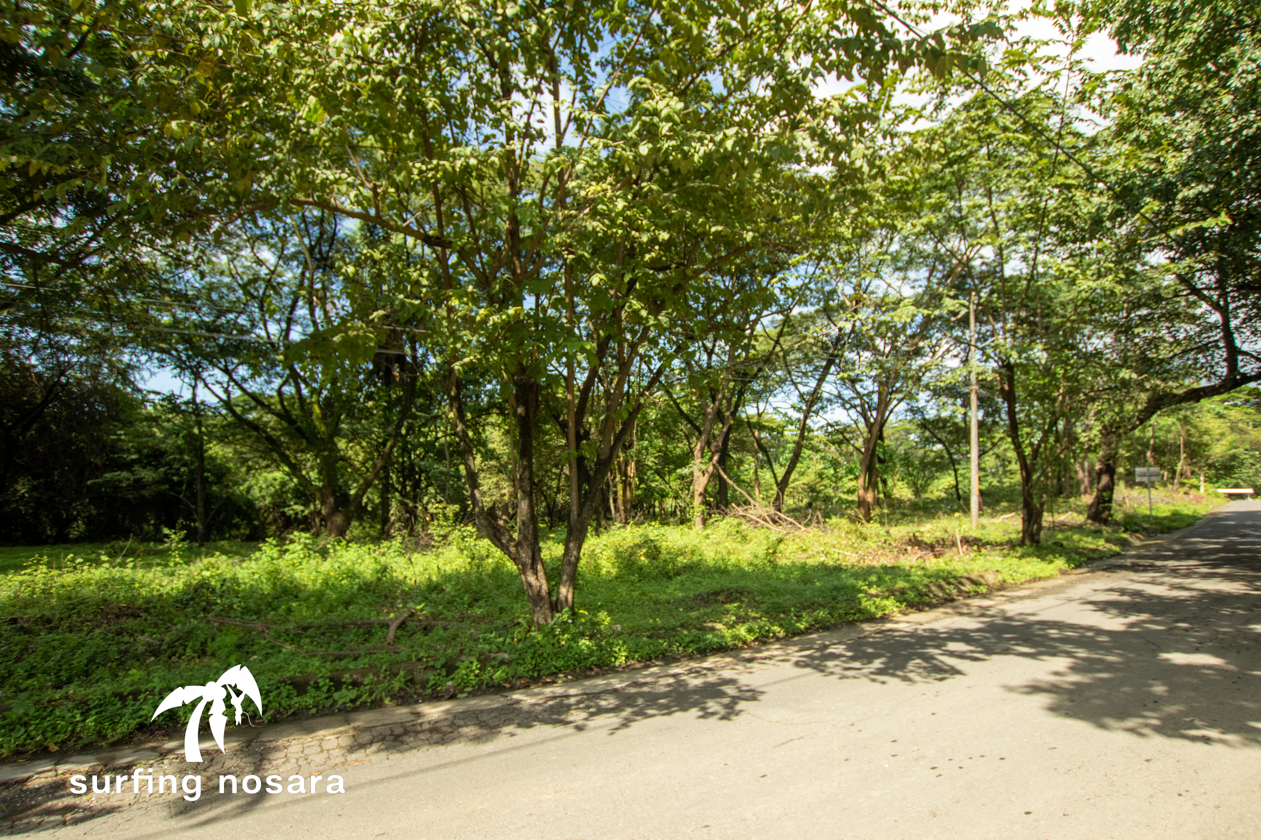 0 bed Land For Sale in Nosara, Guanacaste - thumb 5